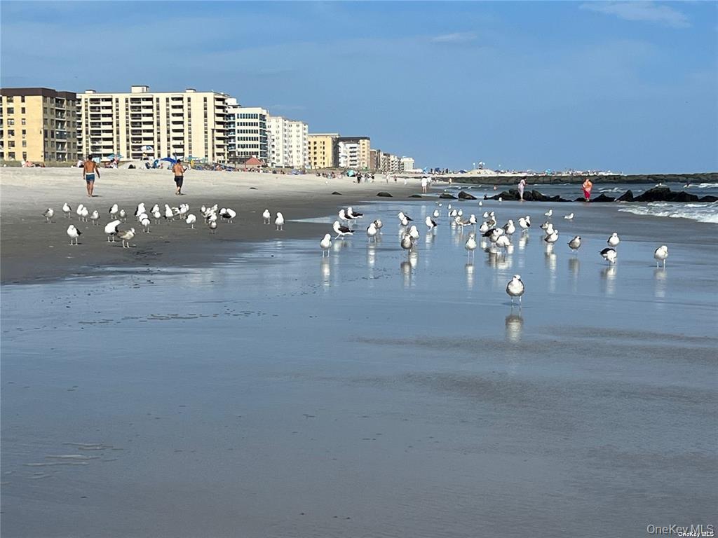 475 W Broadway # B2, Long Beach, NY 11561