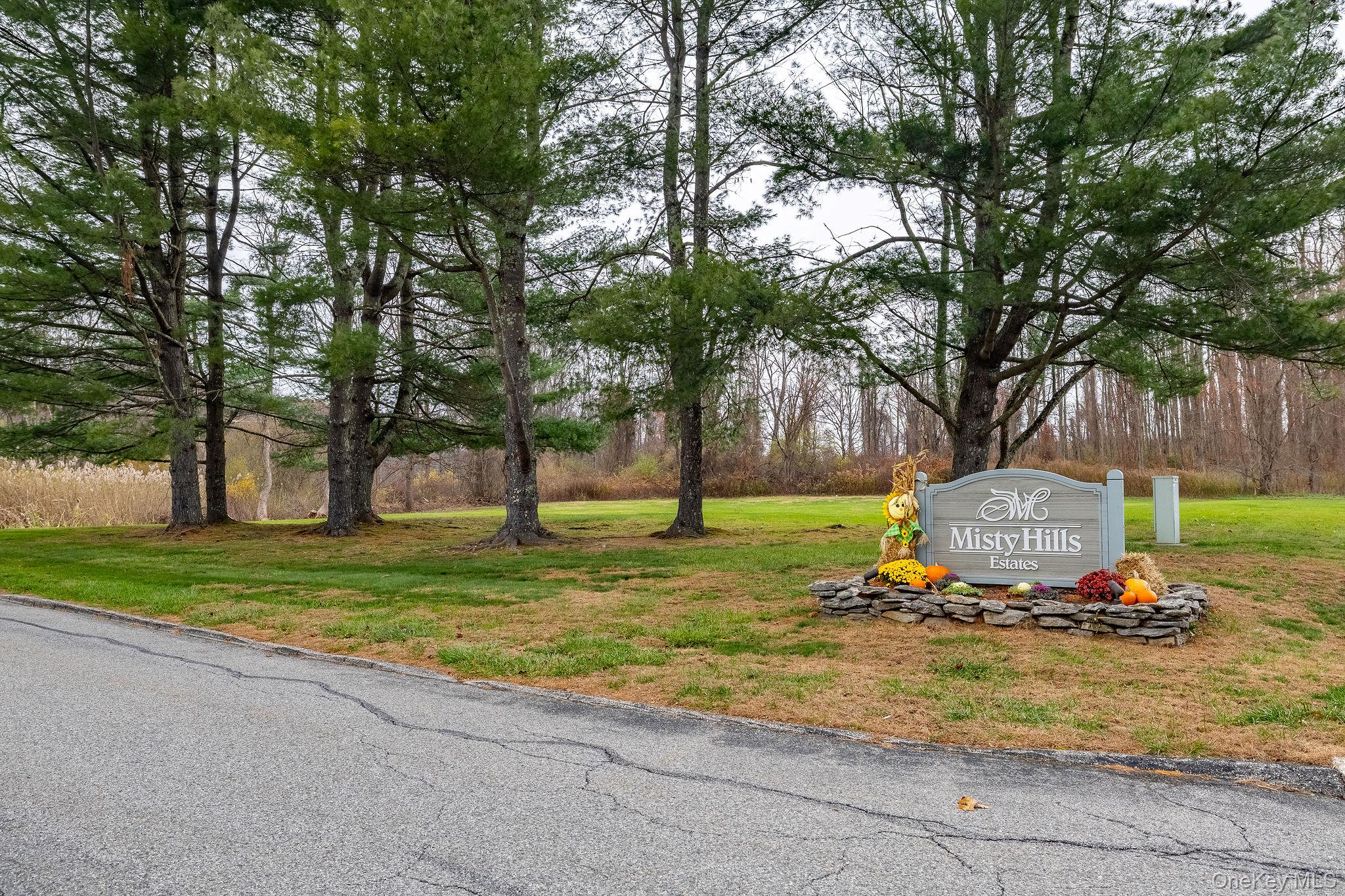 502 Misty Hills Lane # 502, Carmel, NY 10512