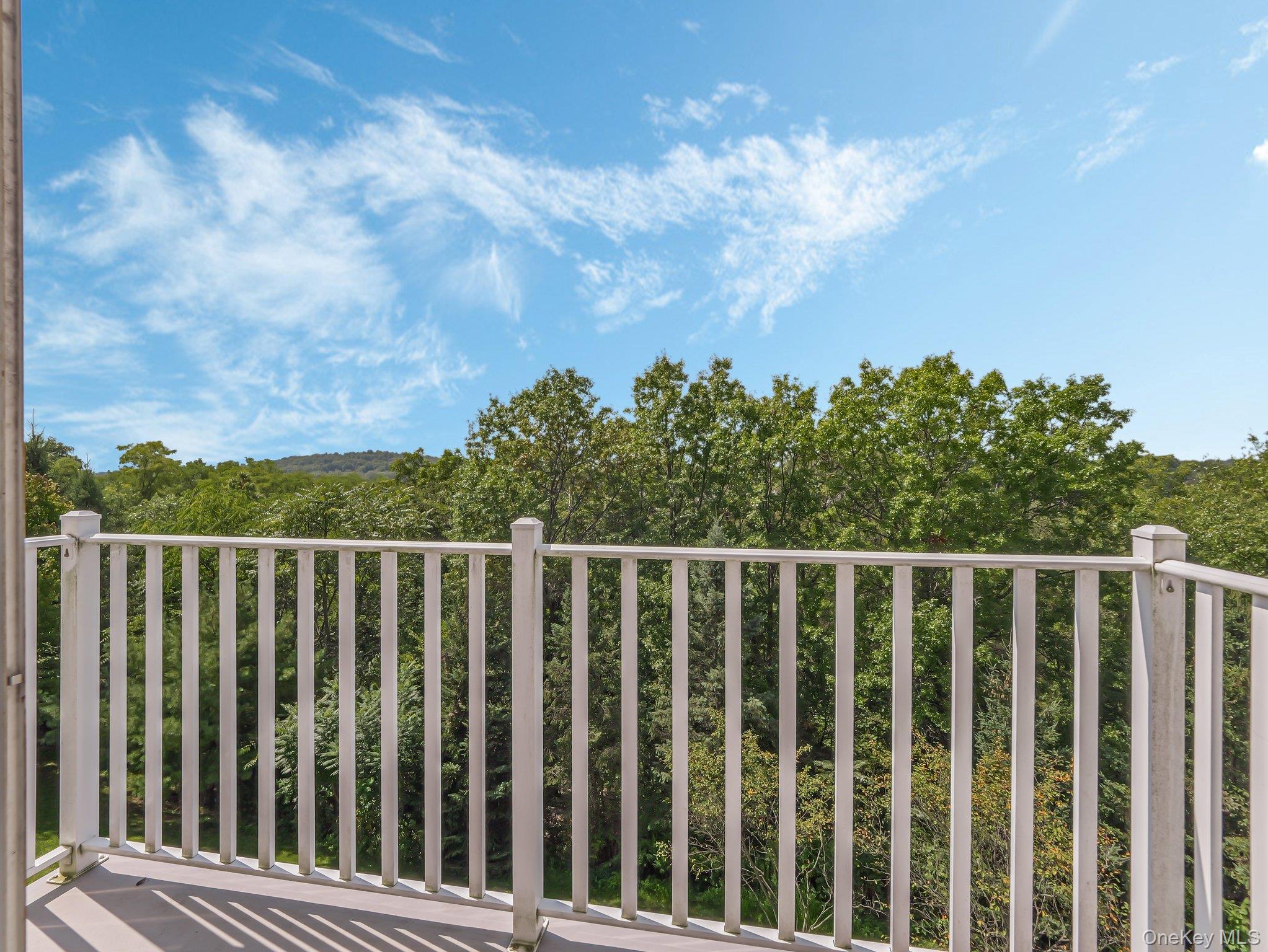 1115 Balsam Drive, New Windsor, NY 12553