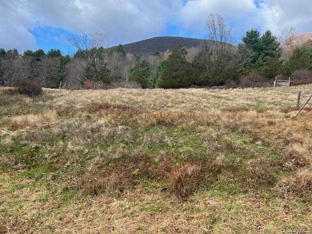 244 Upper Samsonville Road, Olivebridge, NY 12461