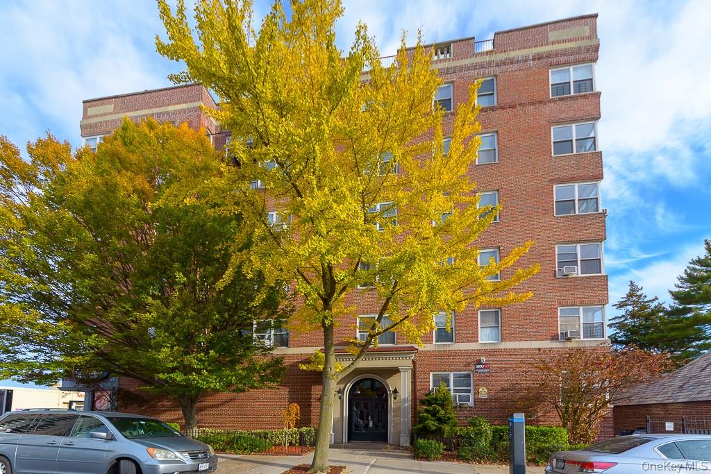 111-50 75th # A44, Forest Hills, NY 11375