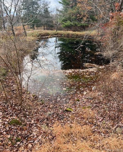 252 Upper Samsonville Road, Olivebridge, NY 12461