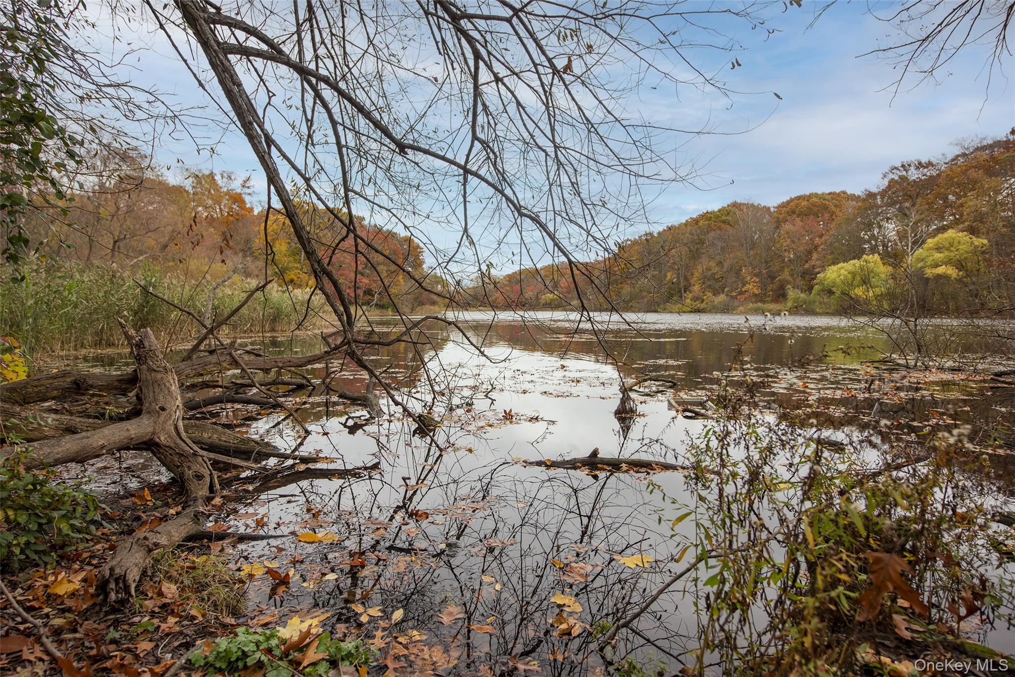 46-42 215th Place # 1C, Bayside, NY 11361