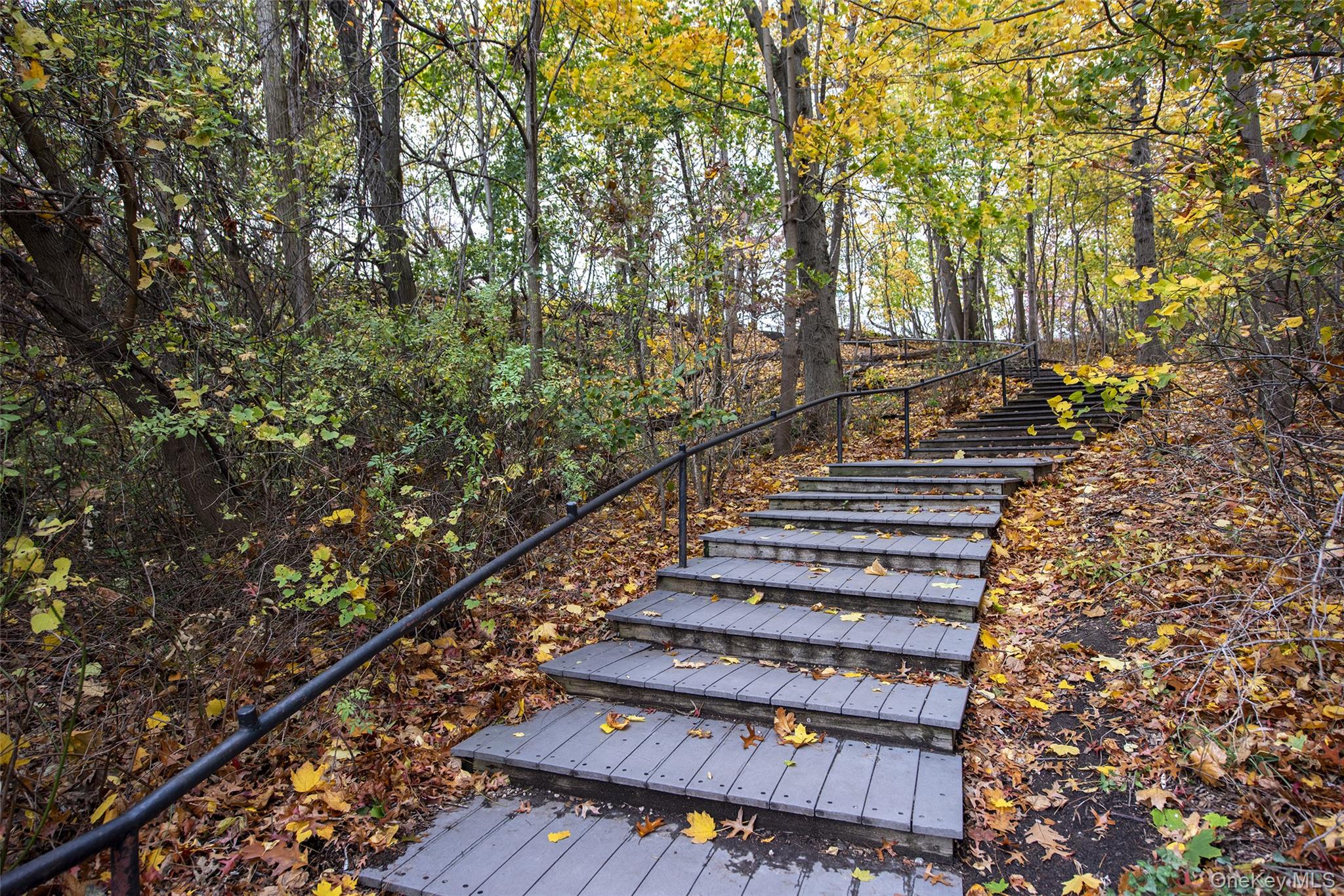 46-42 215th Place # 1C, Bayside, NY 11361