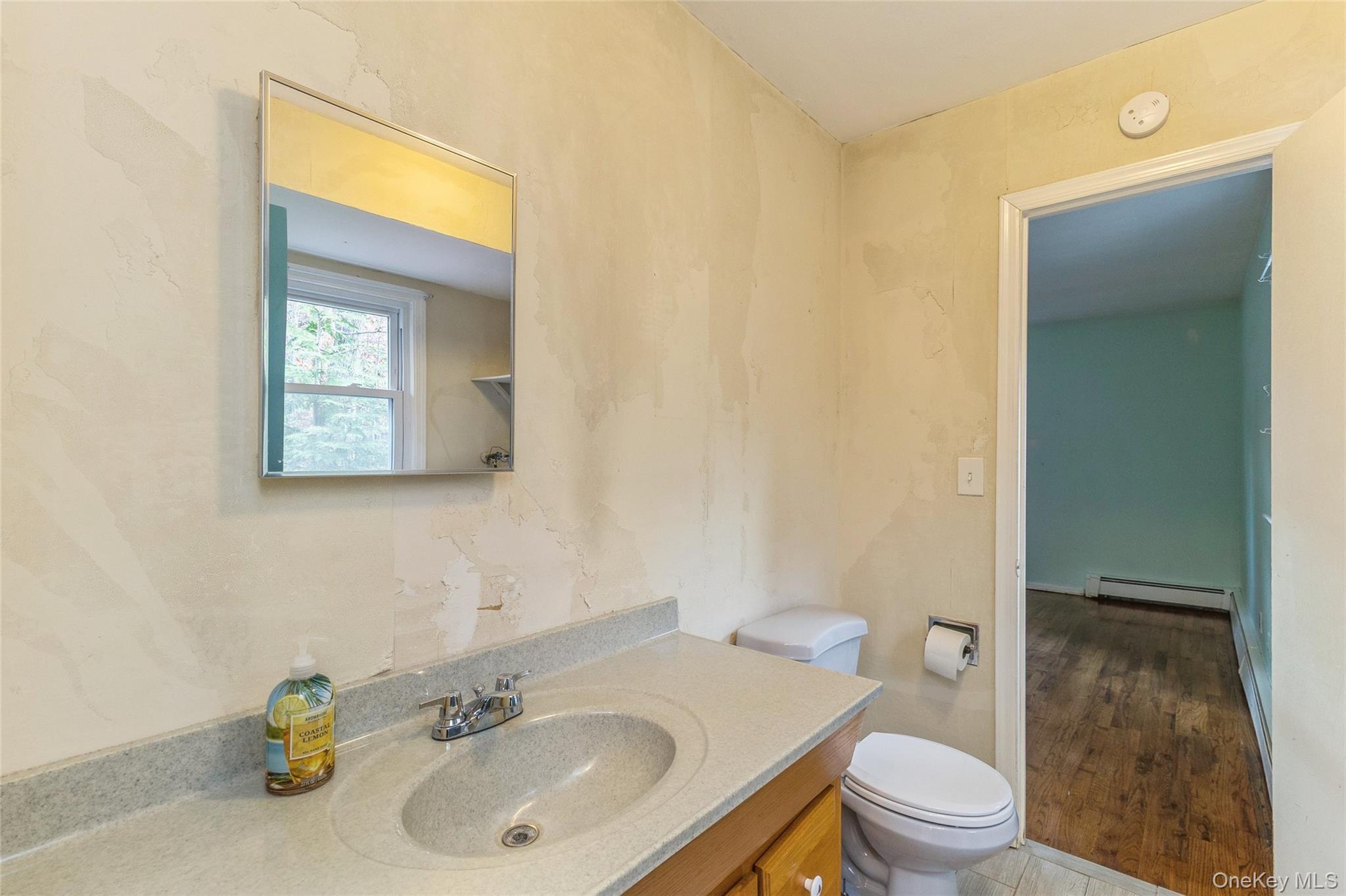 15 Mobrey Lane, Smithtown, NY 11787