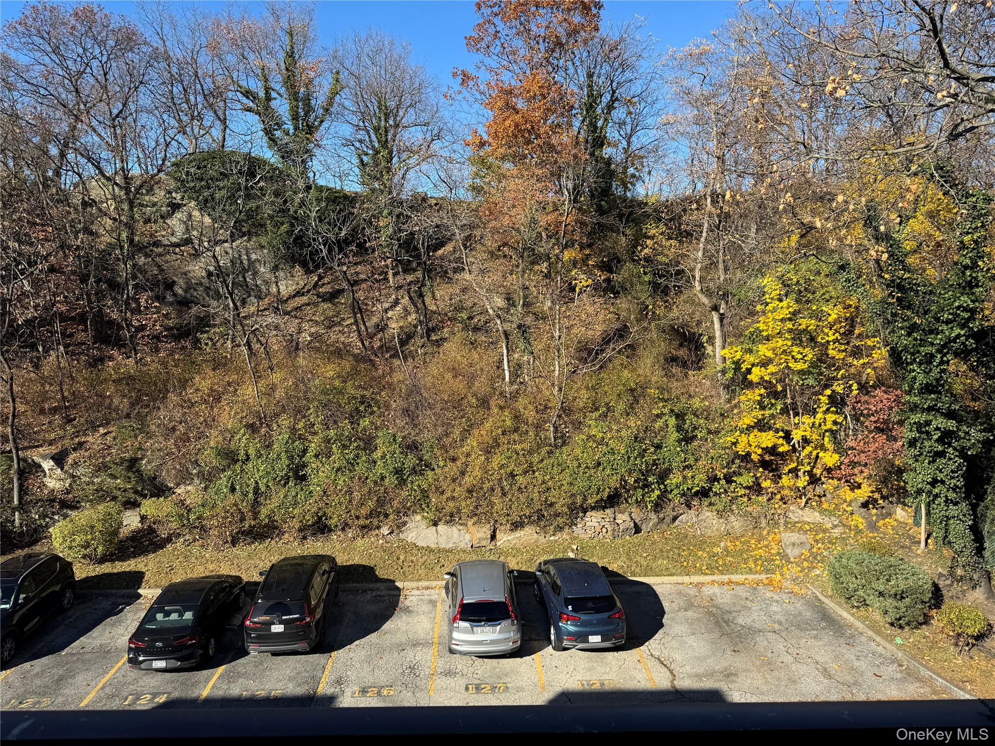 1101 Midland Avenue # 402, Bronxville, NY 10708