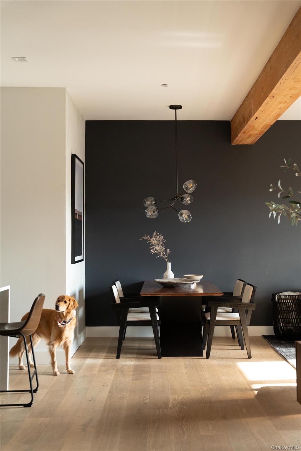 50 Chestnut Street # 8, Dobbs Ferry, NY 10522