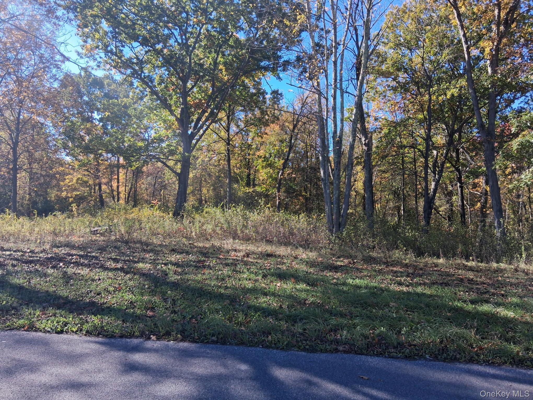 South Road, Germantown, NY 12526