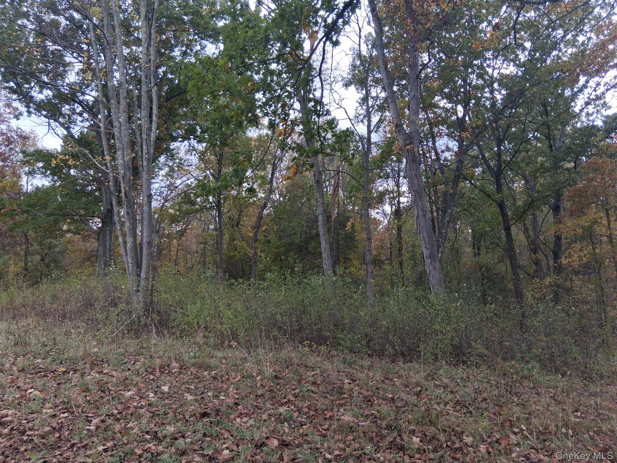 South Road, Germantown, NY 12526