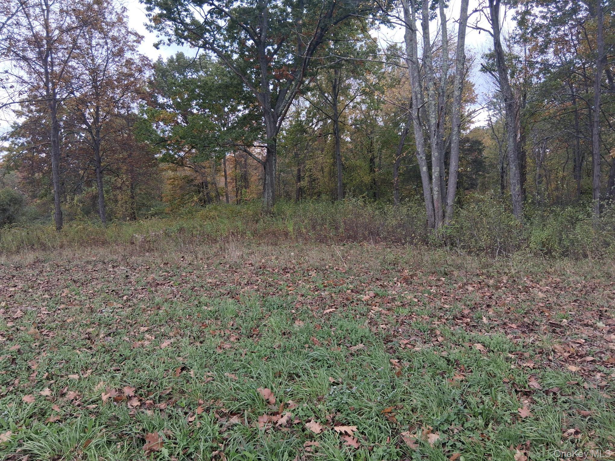 South Road, Germantown, NY 12526