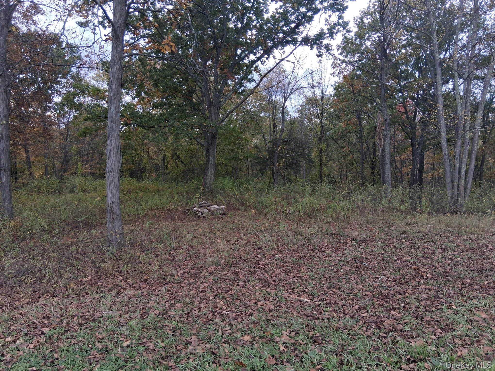 South Road, Germantown, NY 12526