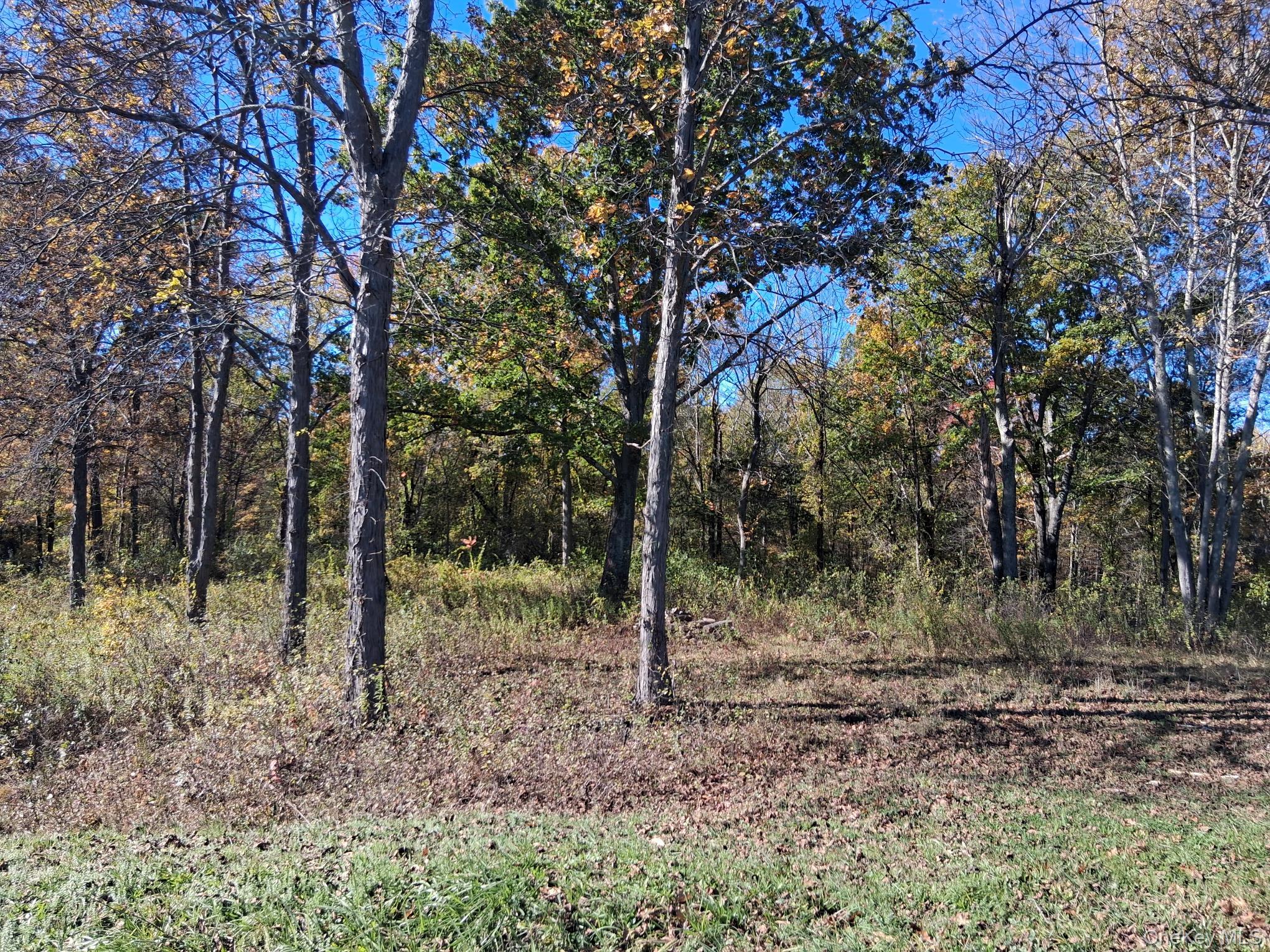 South Road, Germantown, NY 12526