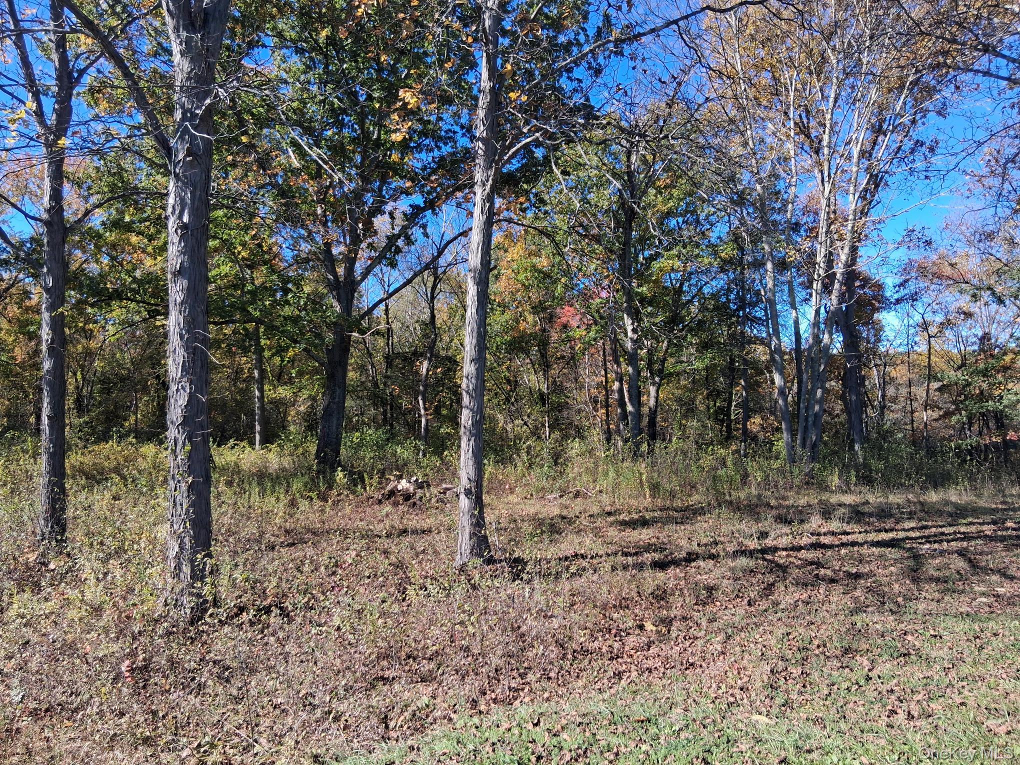 South Road, Germantown, NY 12526