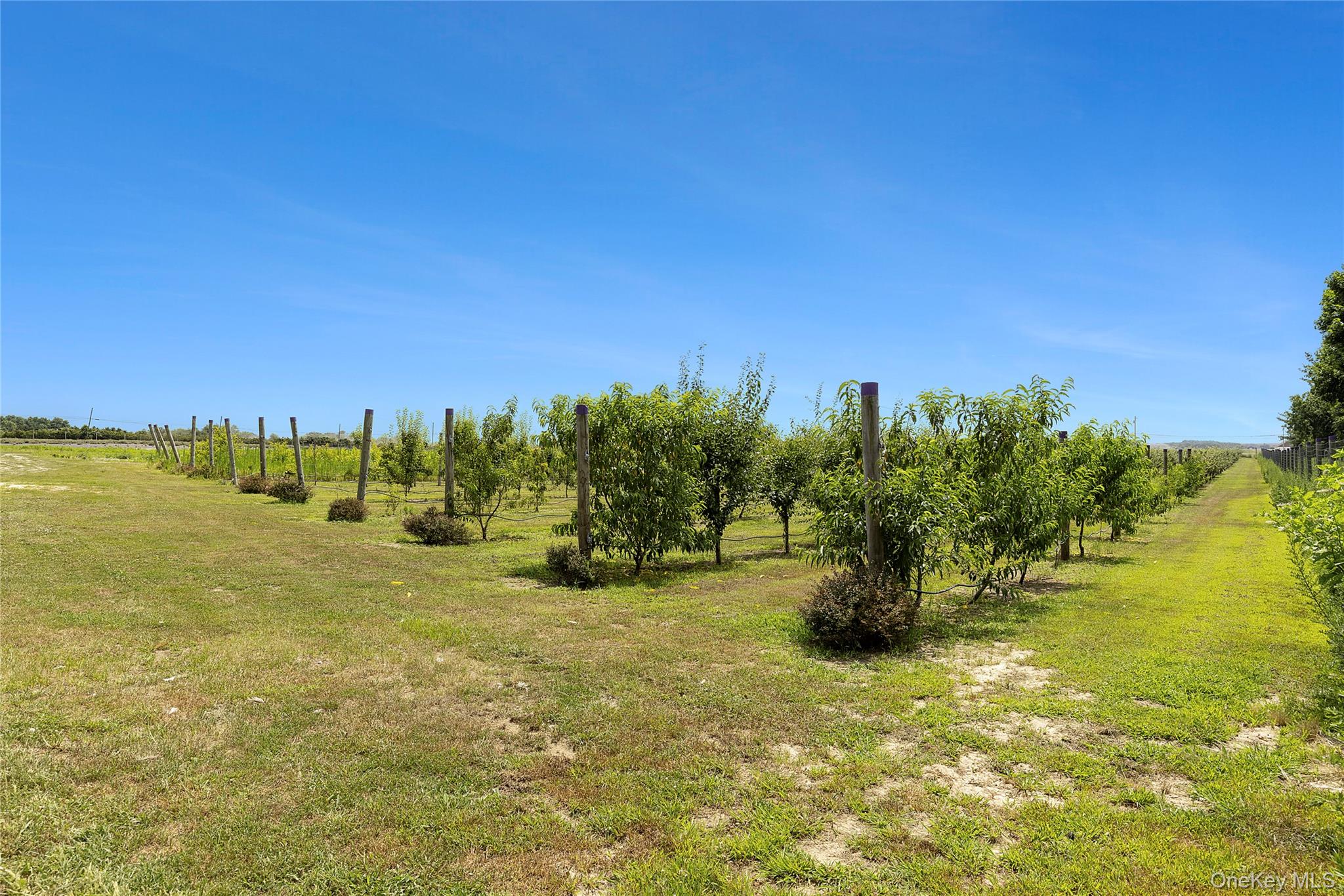 3360 Sound Avenue, Riverhead, NY 11901