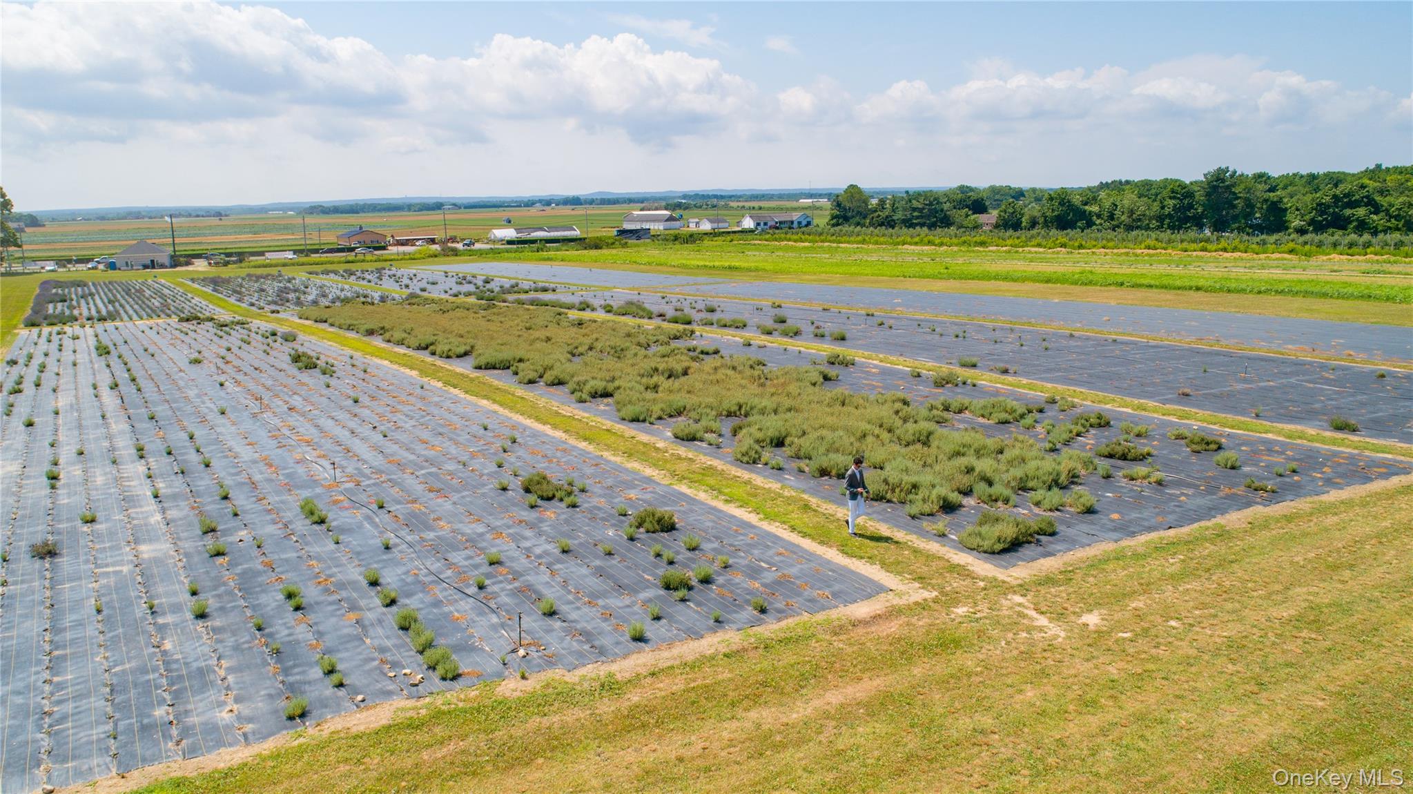 3360 Sound Avenue, Riverhead, NY 11901