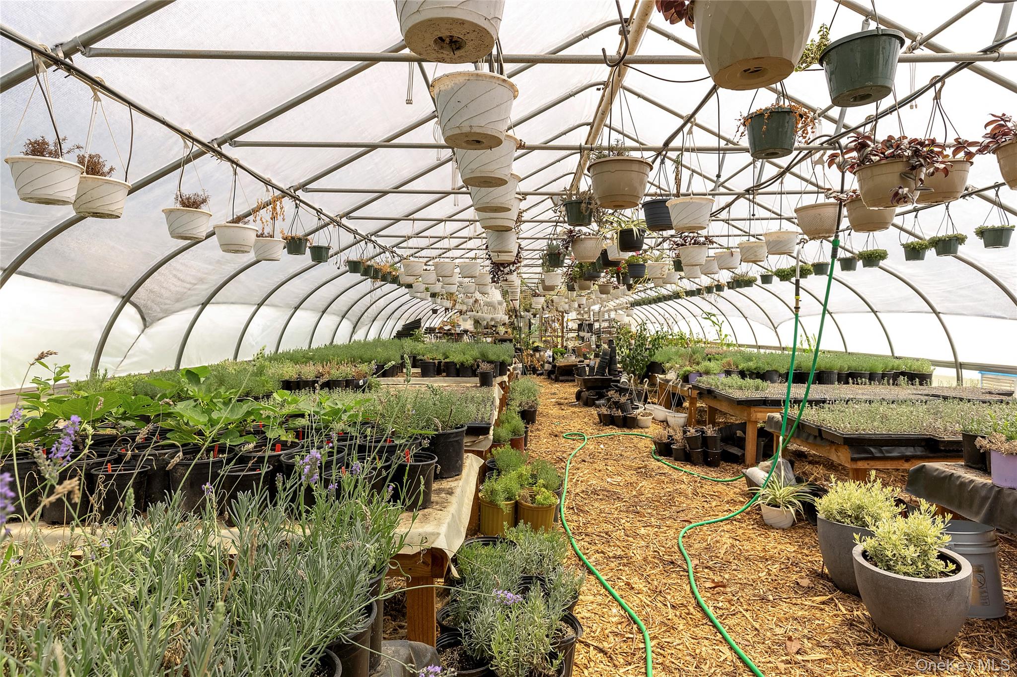 3360 Sound Avenue, Riverhead, NY 11901