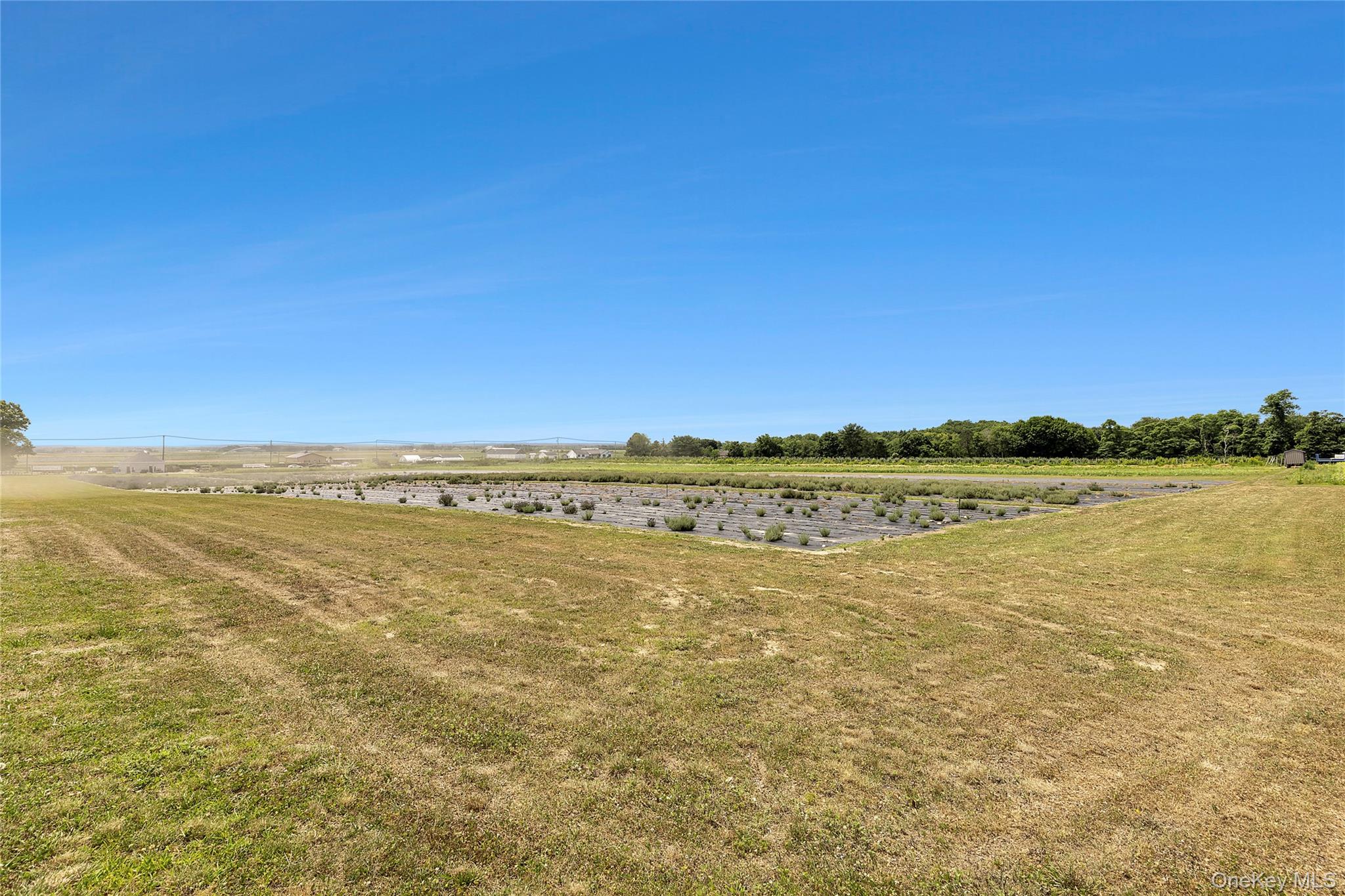 3360 Sound Avenue, Riverhead, NY 11901