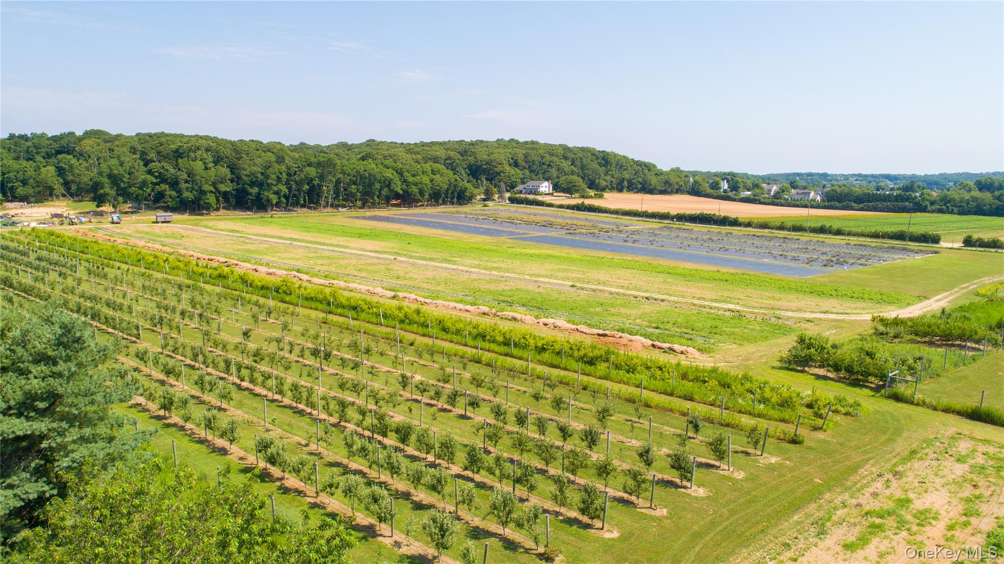 3360 Sound Avenue, Riverhead, NY 11901