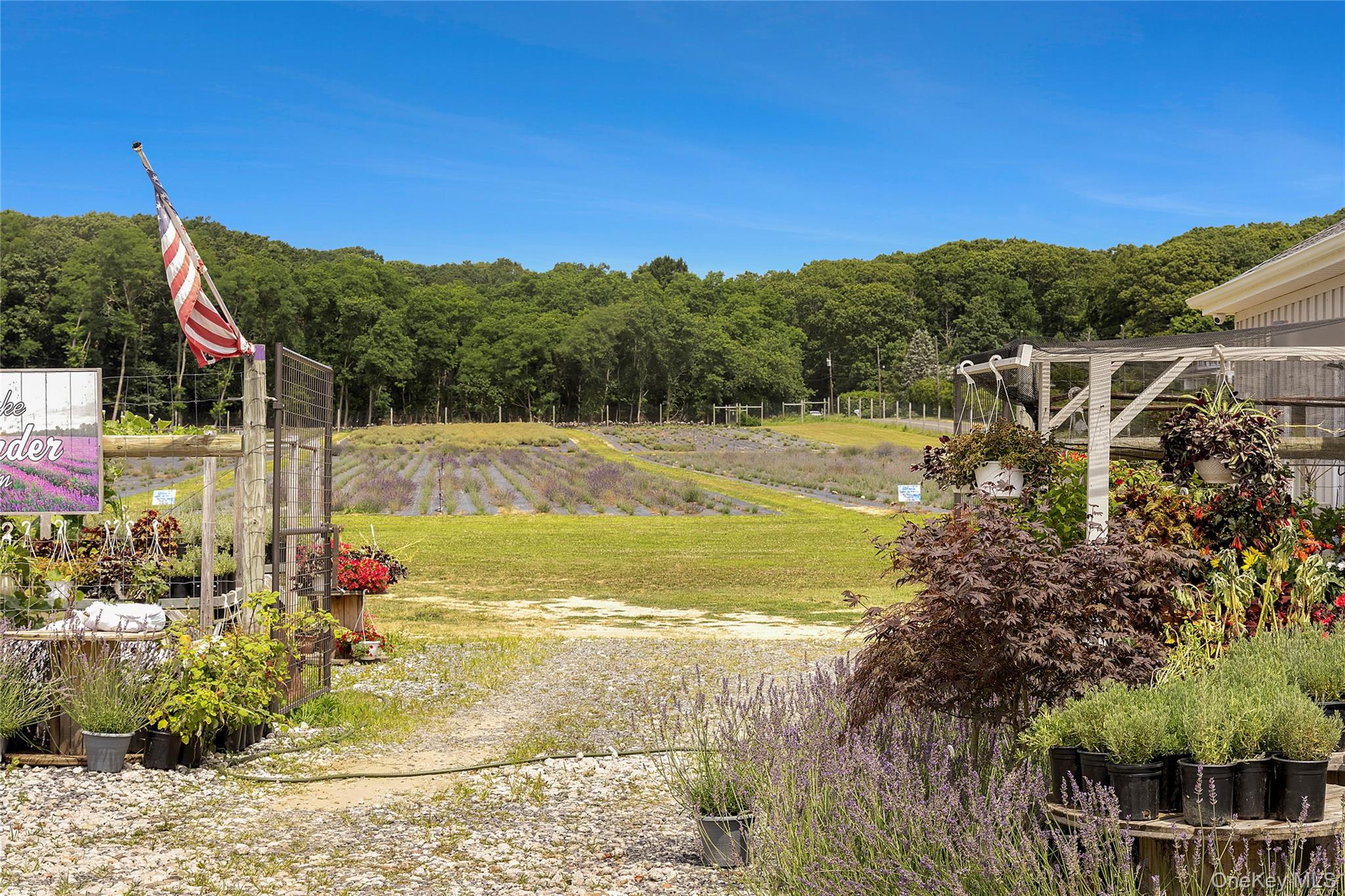 3360 Sound Avenue, Riverhead, NY 11901