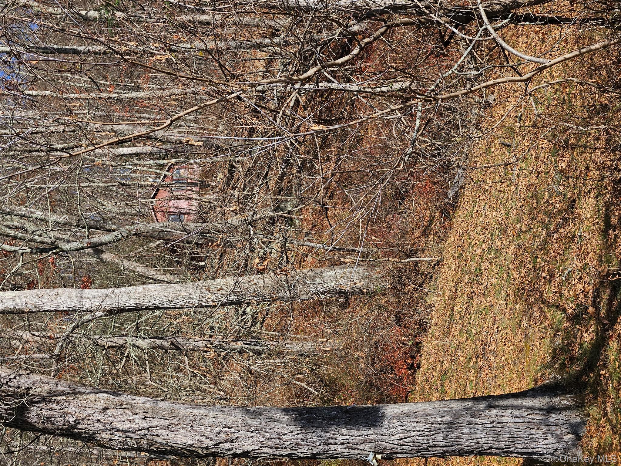 Rt-97, Glen Spey, NY 12737