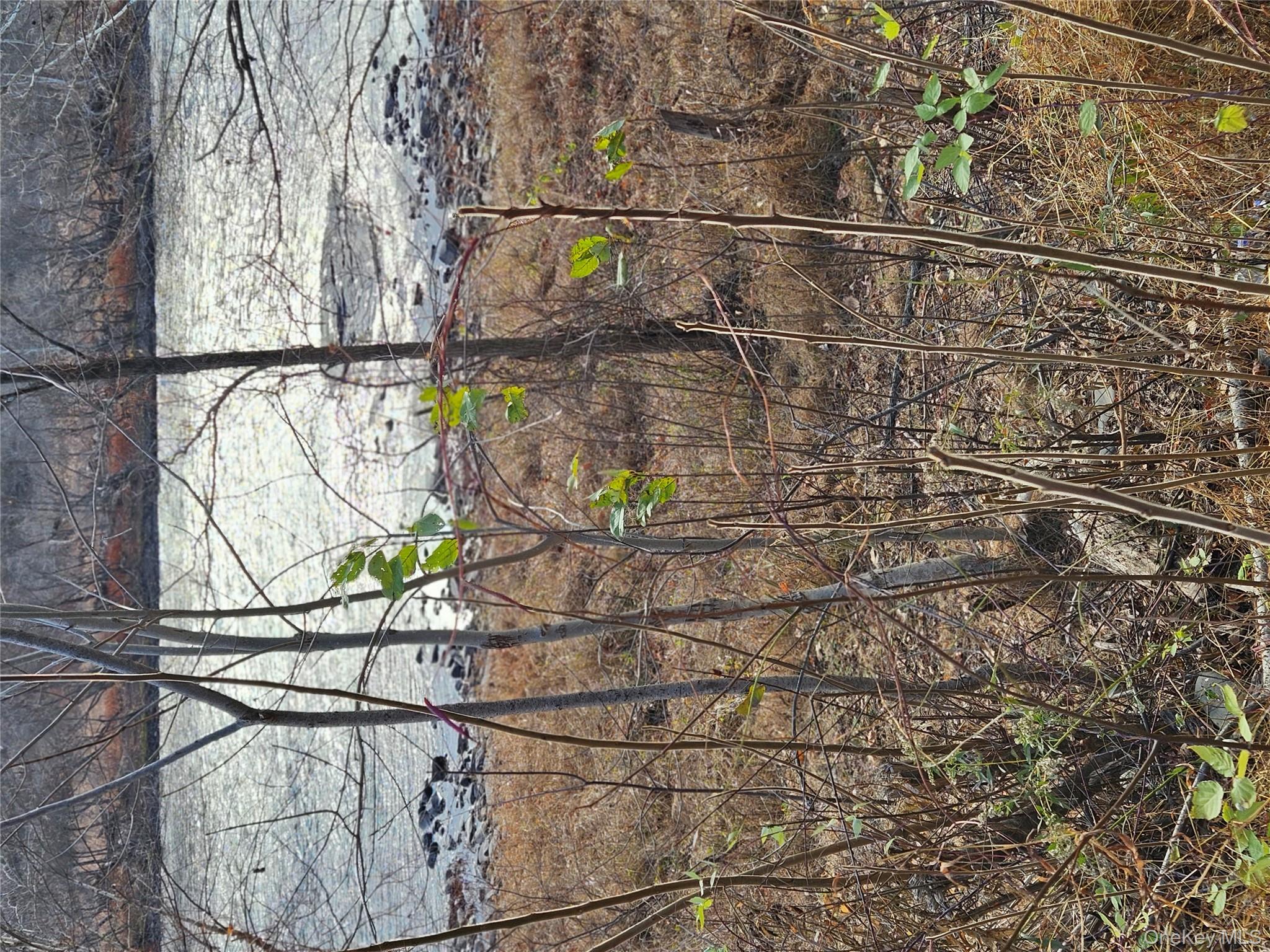 Rt-97, Glen Spey, NY 12737