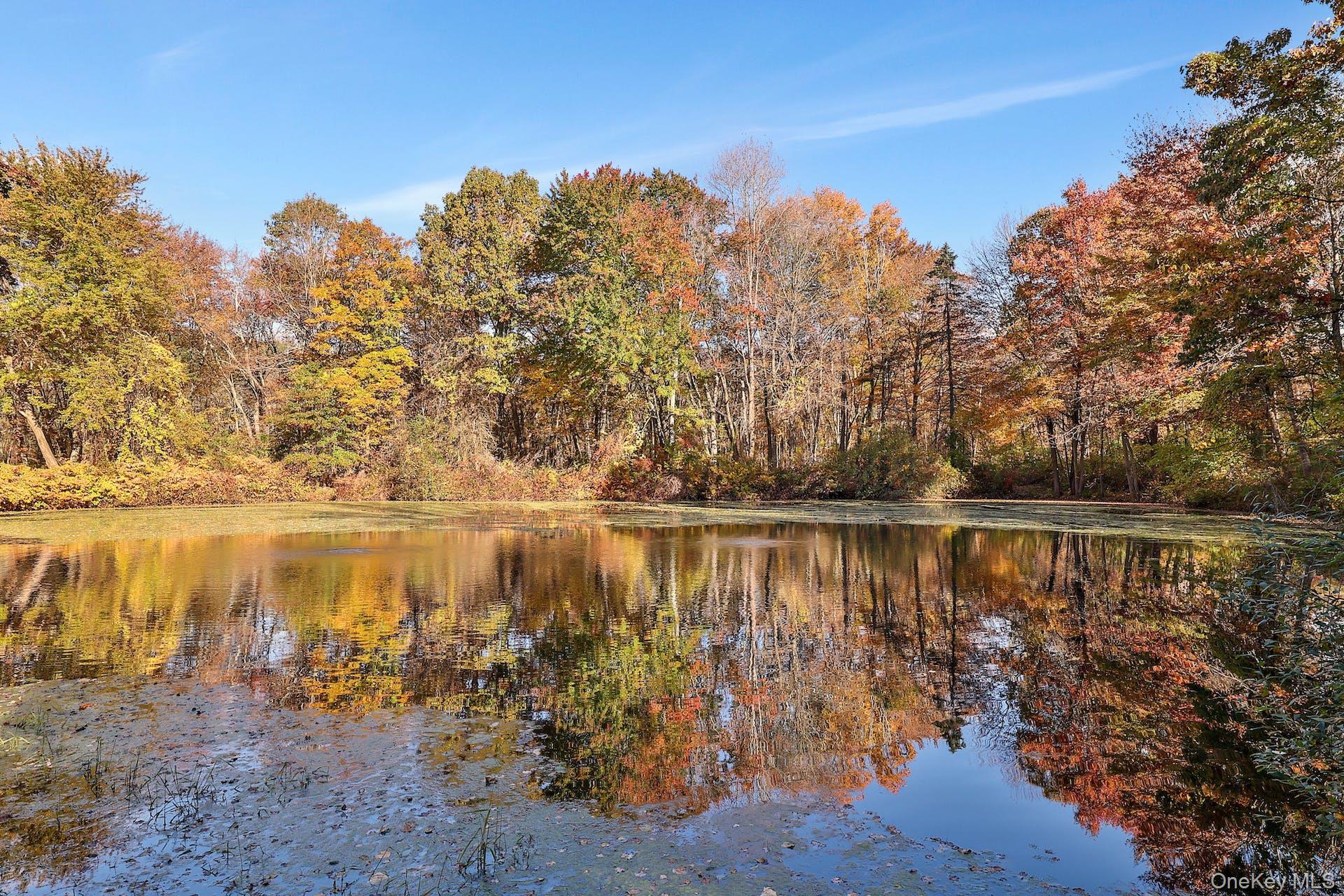 32 School Street # A, Armonk, NY 10504