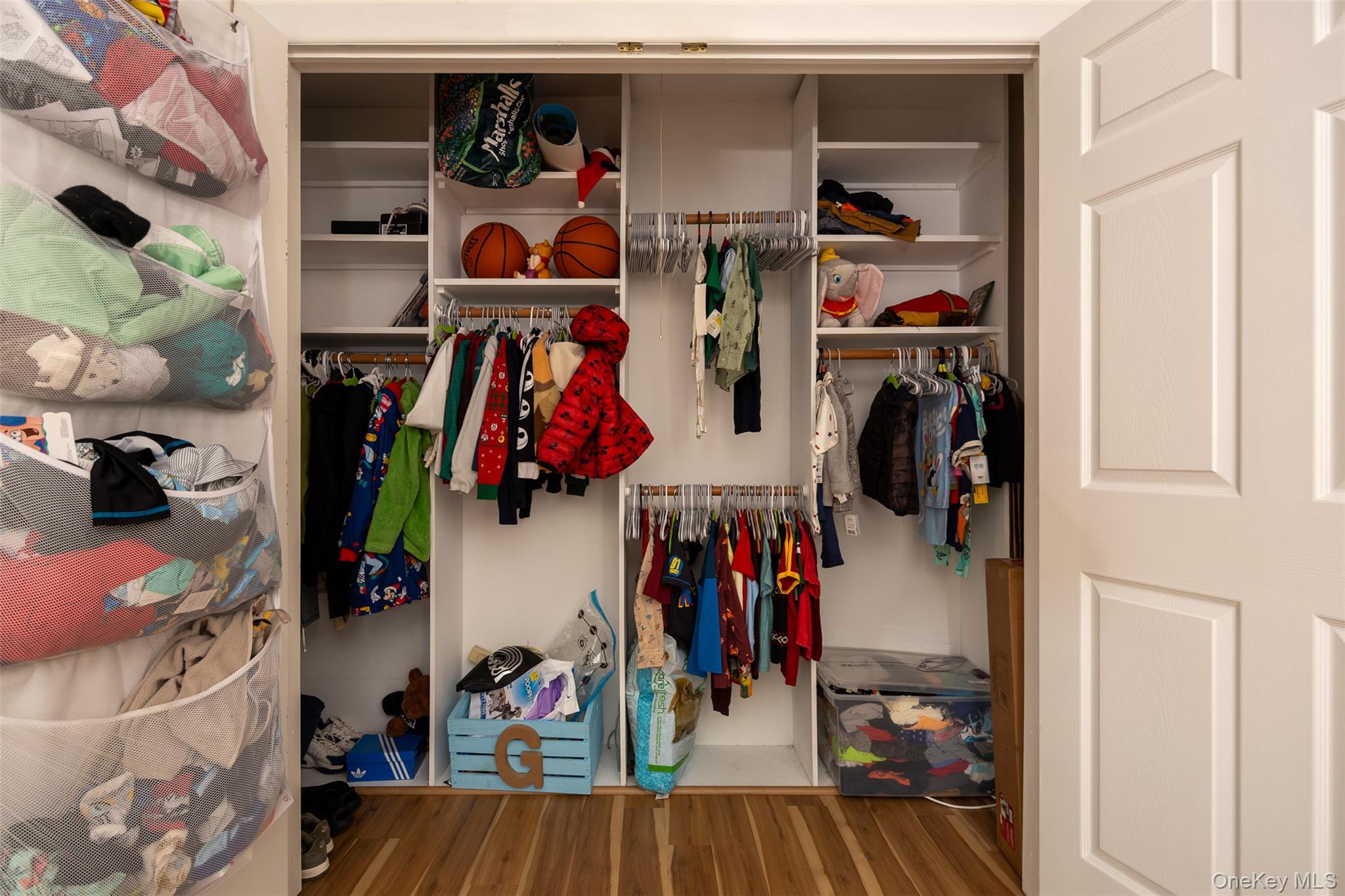 205 Haddon Hollow Court, Middle Island, NY 11953