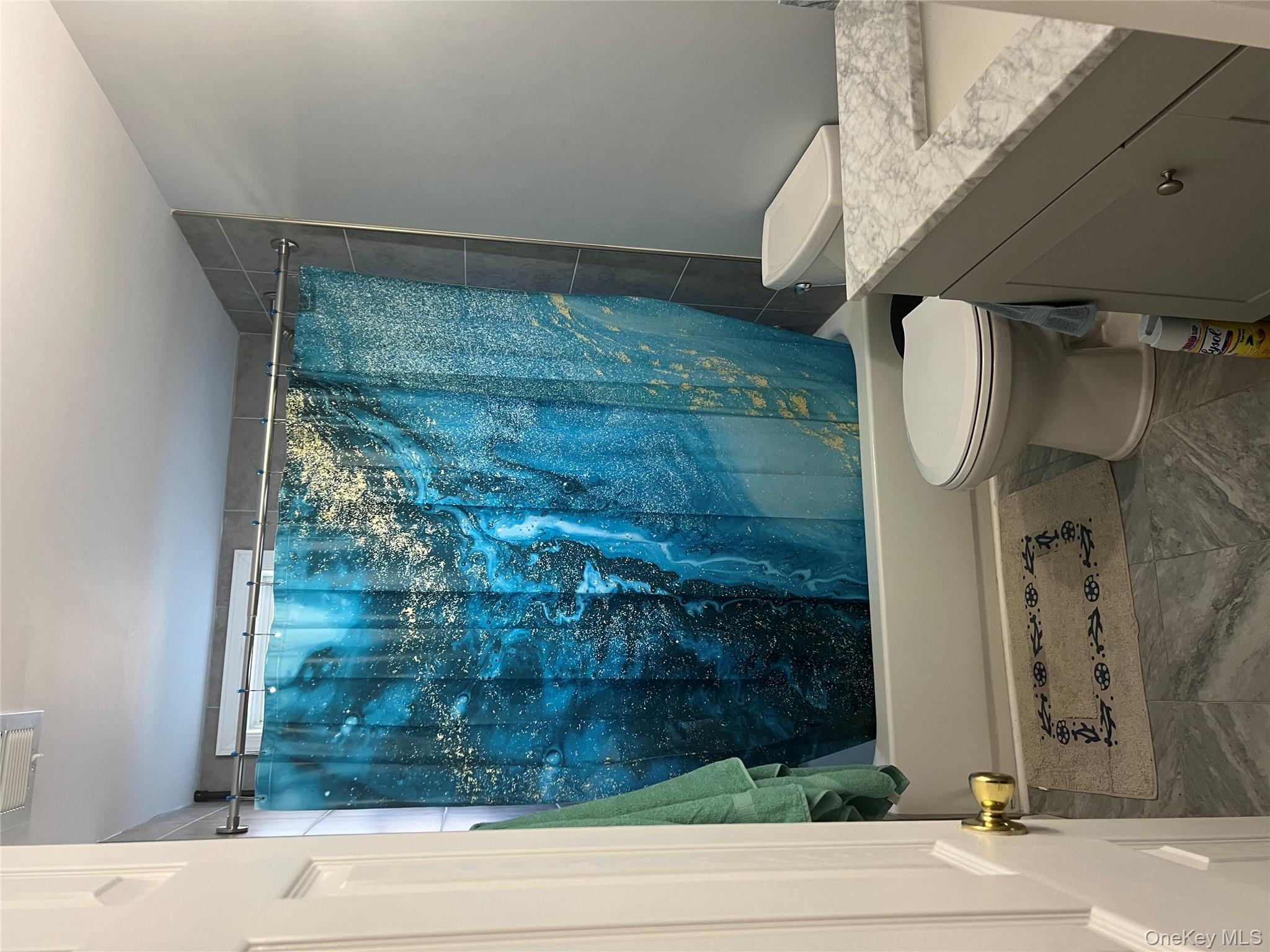 301 Artist Lake Drive, Middle Island, NY 11953