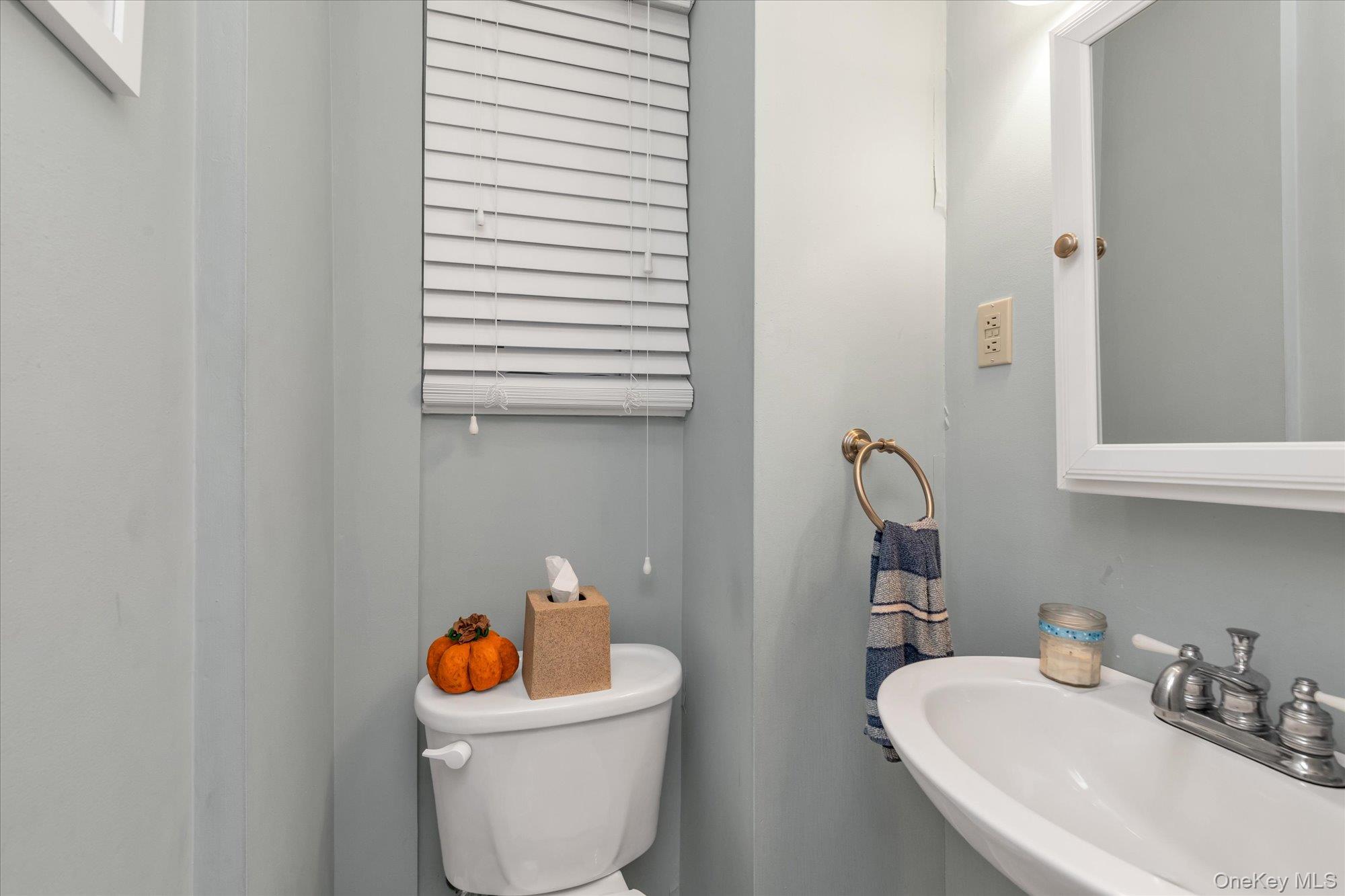 29 Orleans Road, Valley Stream, NY 11581