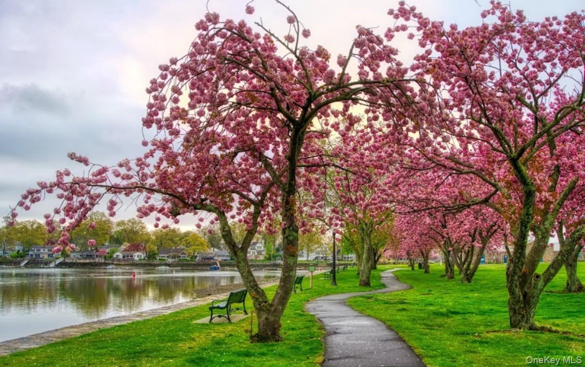 604 Tompkins # 10-C, Mamaroneck, NY 10543