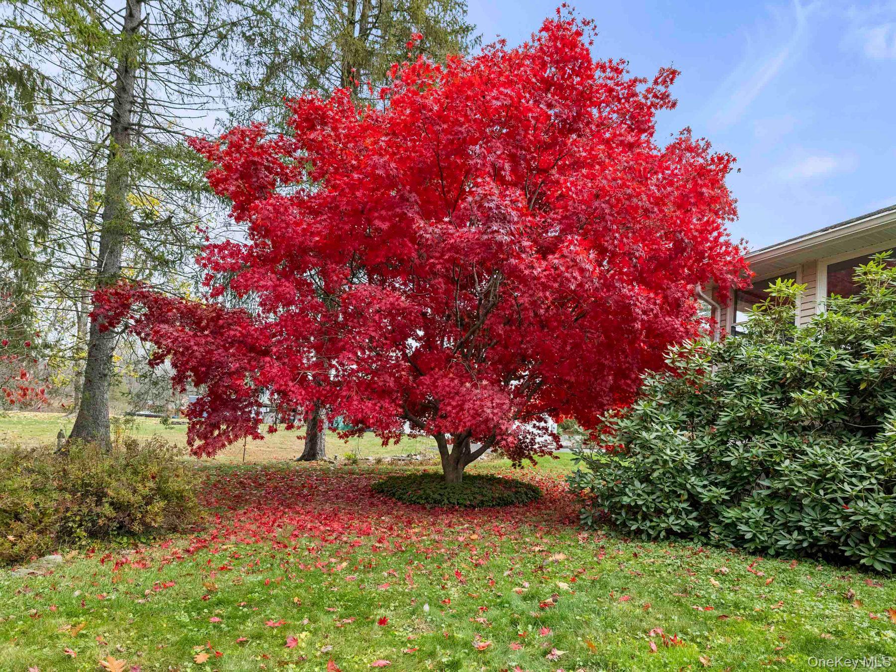 9 McAllister Drive, Pleasant Valley, NY 12569