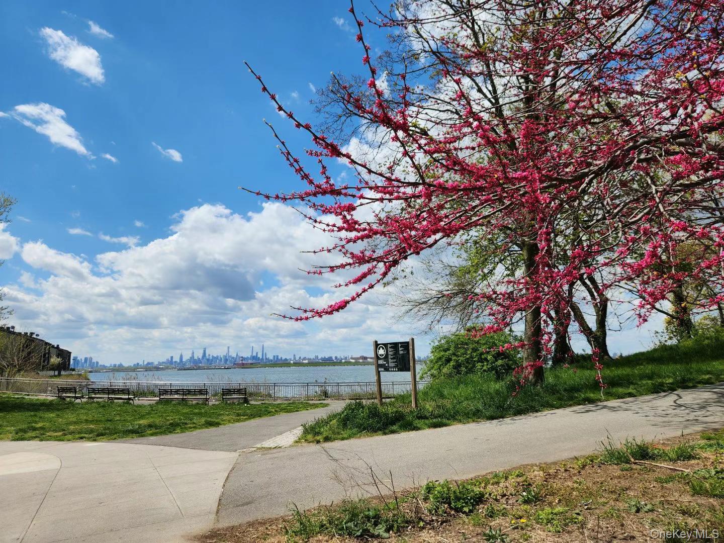 11516 Poppenhusen Avenue, College Point, NY 11356