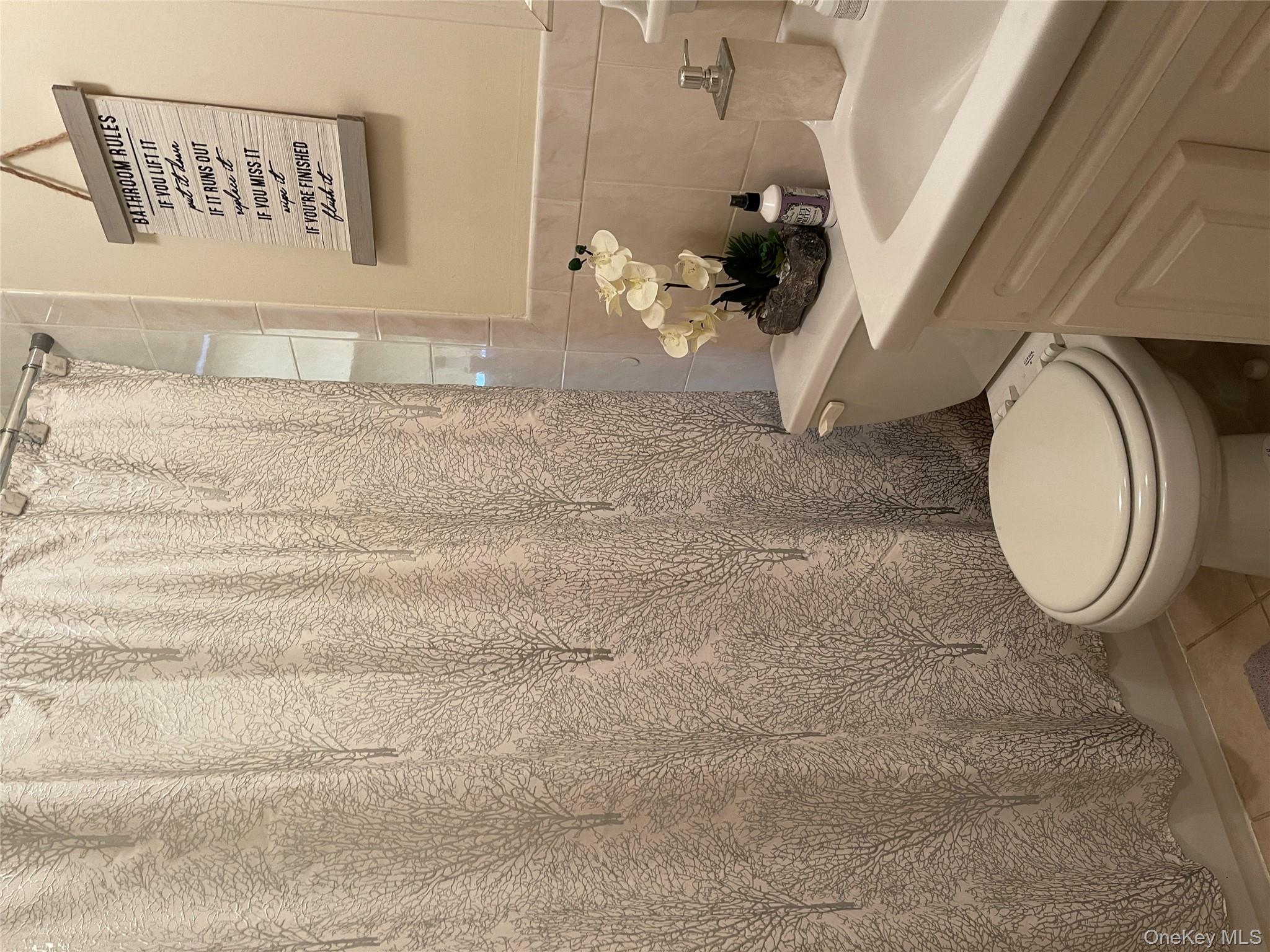 234A Hosmer Avenue, Bronx, NY 10465