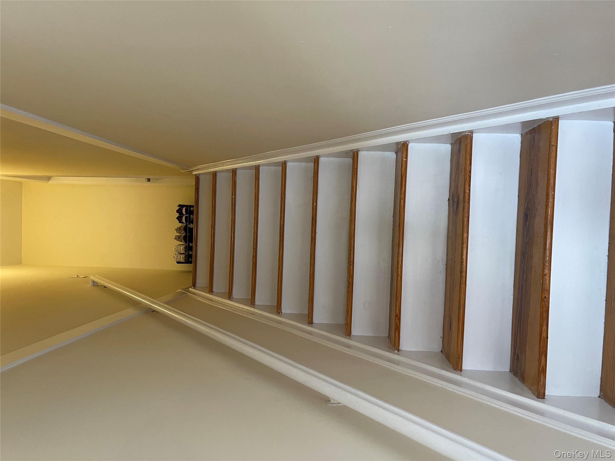 234A Hosmer Avenue, Bronx, NY 10465