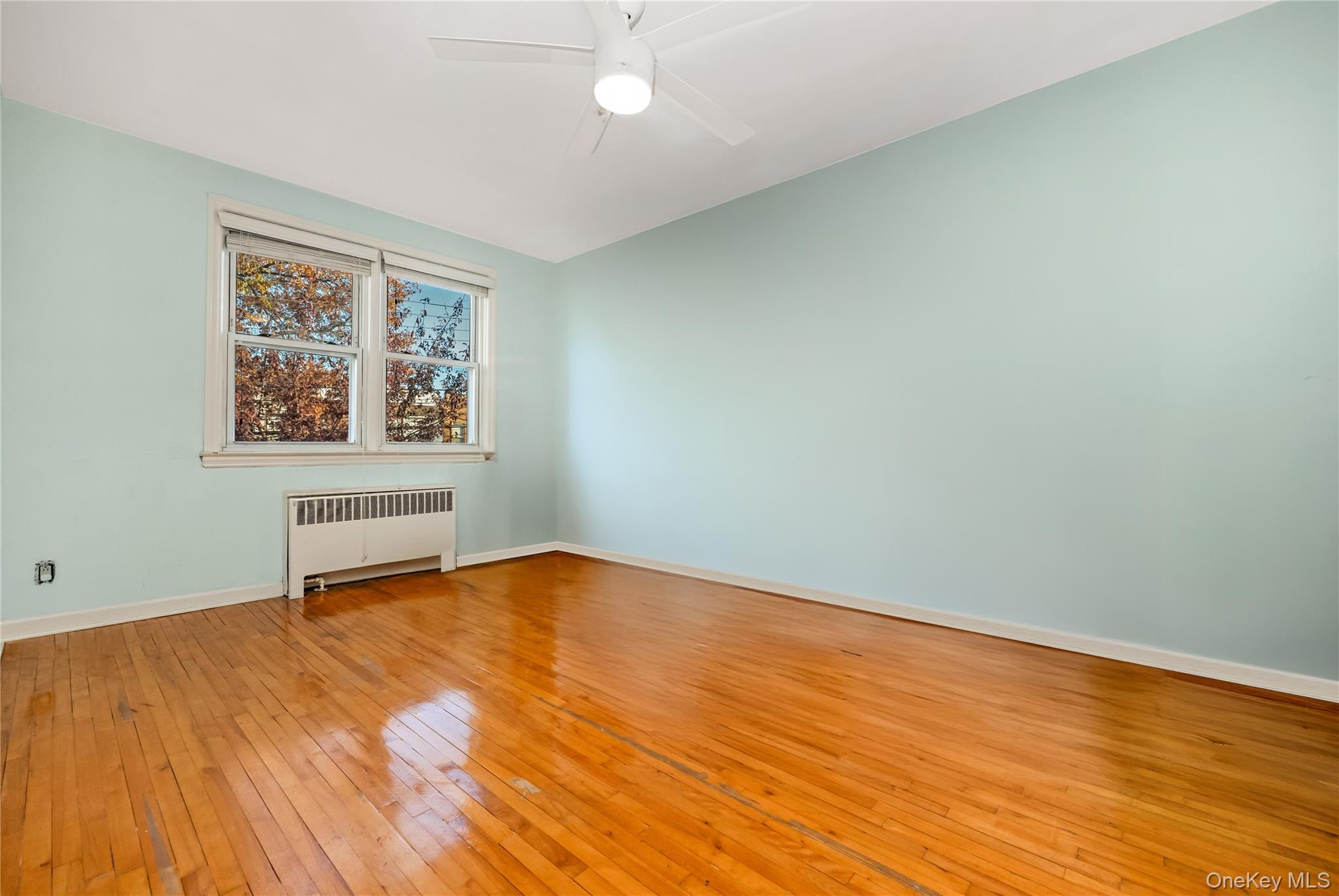 Middle Village, NY 11379