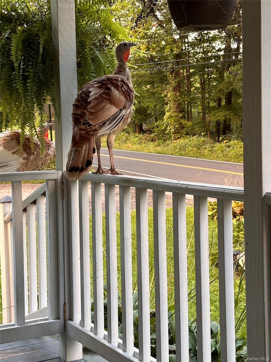 355 Fosler Road, Wallkill, NY 12589