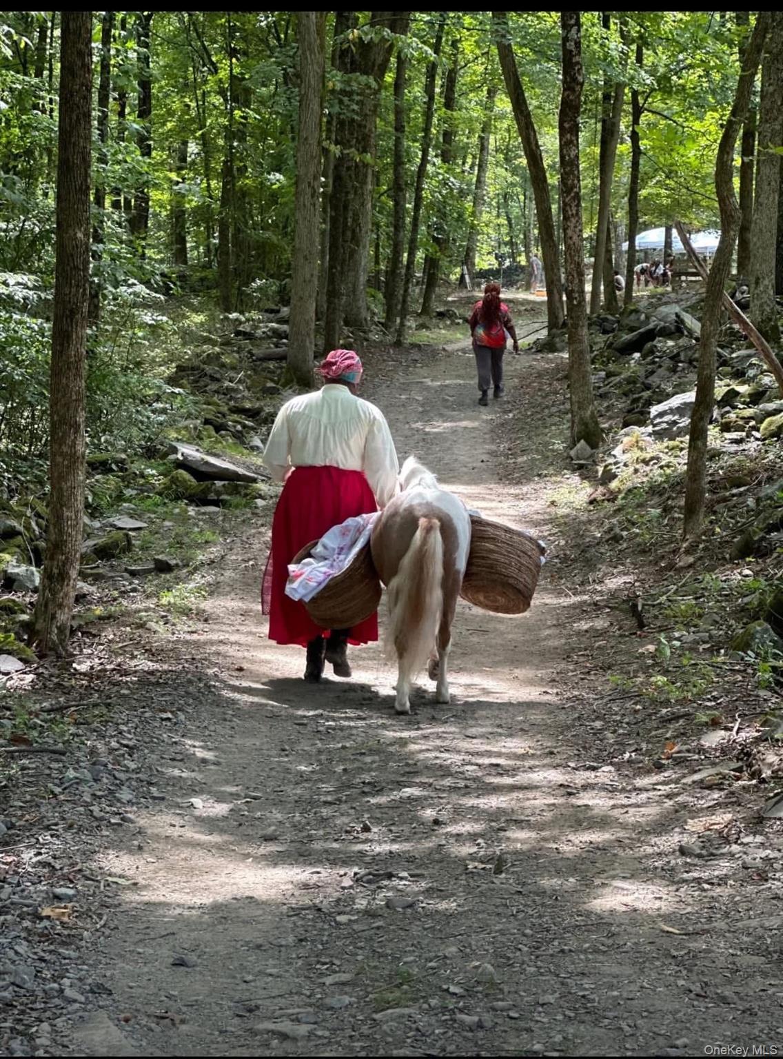 355 Fosler Road, Wallkill, NY 12589