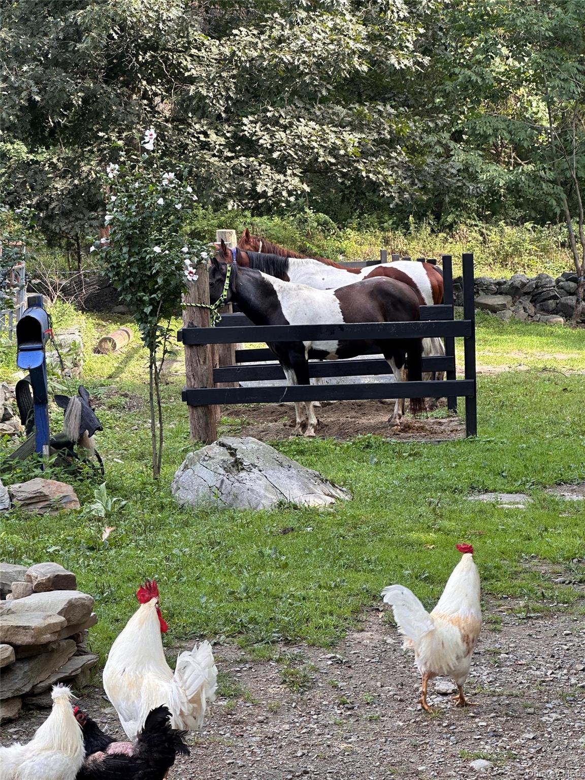 355 Fosler Road, Wallkill, NY 12589