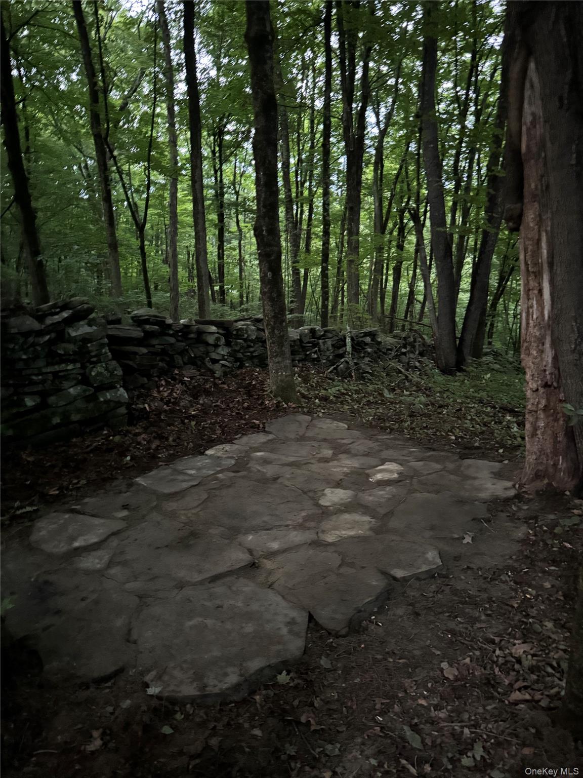 355 Fosler Road, Wallkill, NY 12589