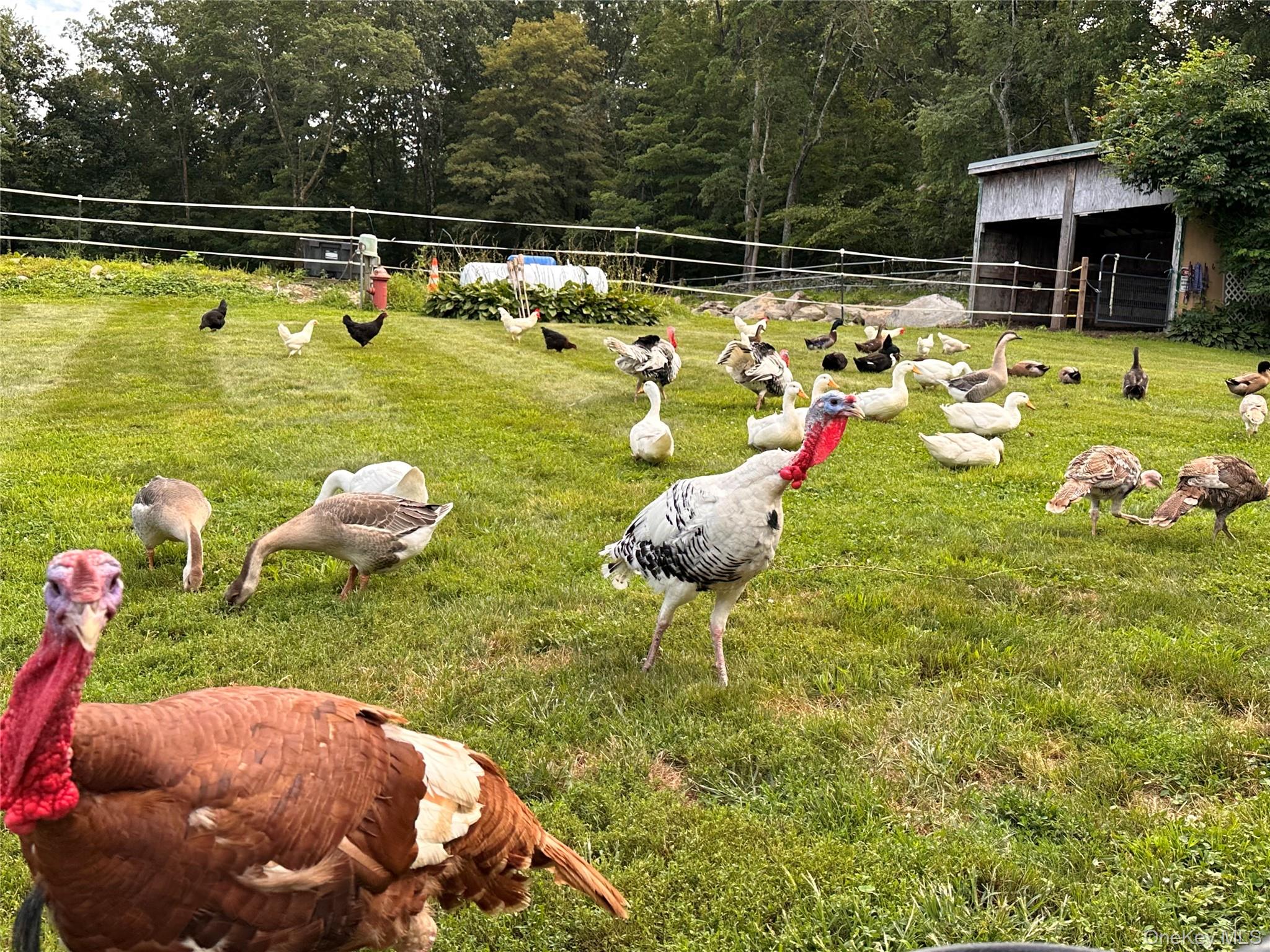 355 Fosler Road, Wallkill, NY 12589