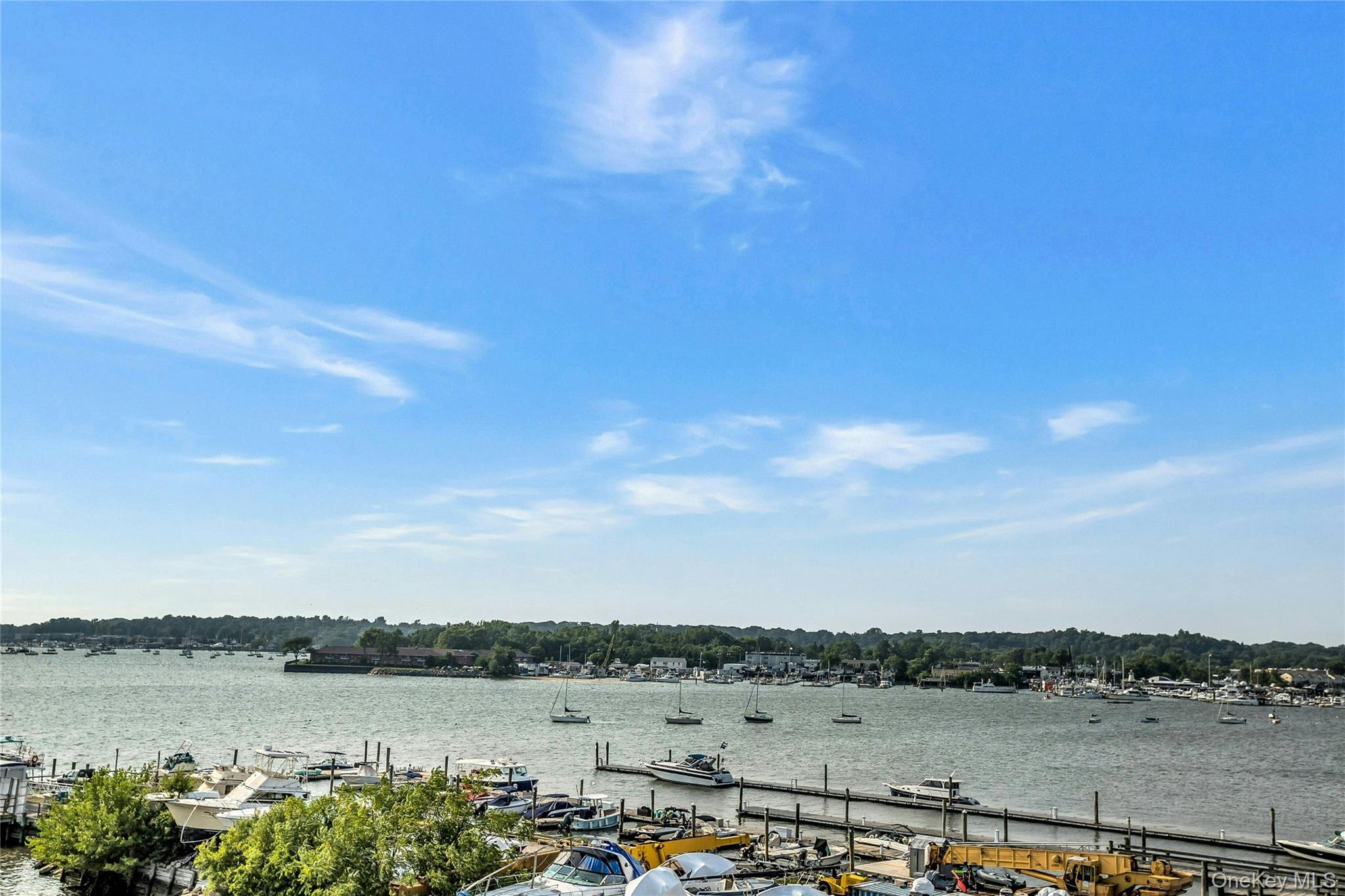433 Main Street # 203, Port Washington, NY 11050