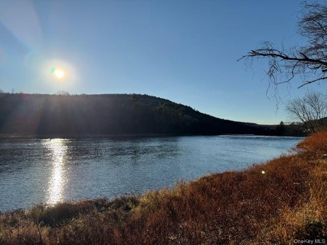 12 River Road, Barryville, NY 12719