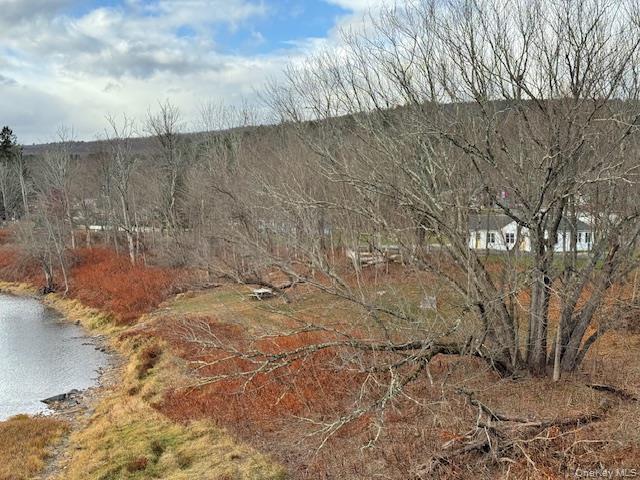 12 River Road, Barryville, NY 12719