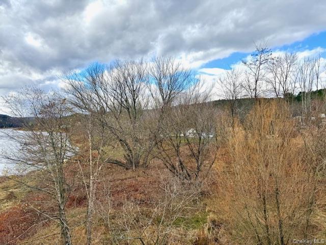 12 River Road, Barryville, NY 12719