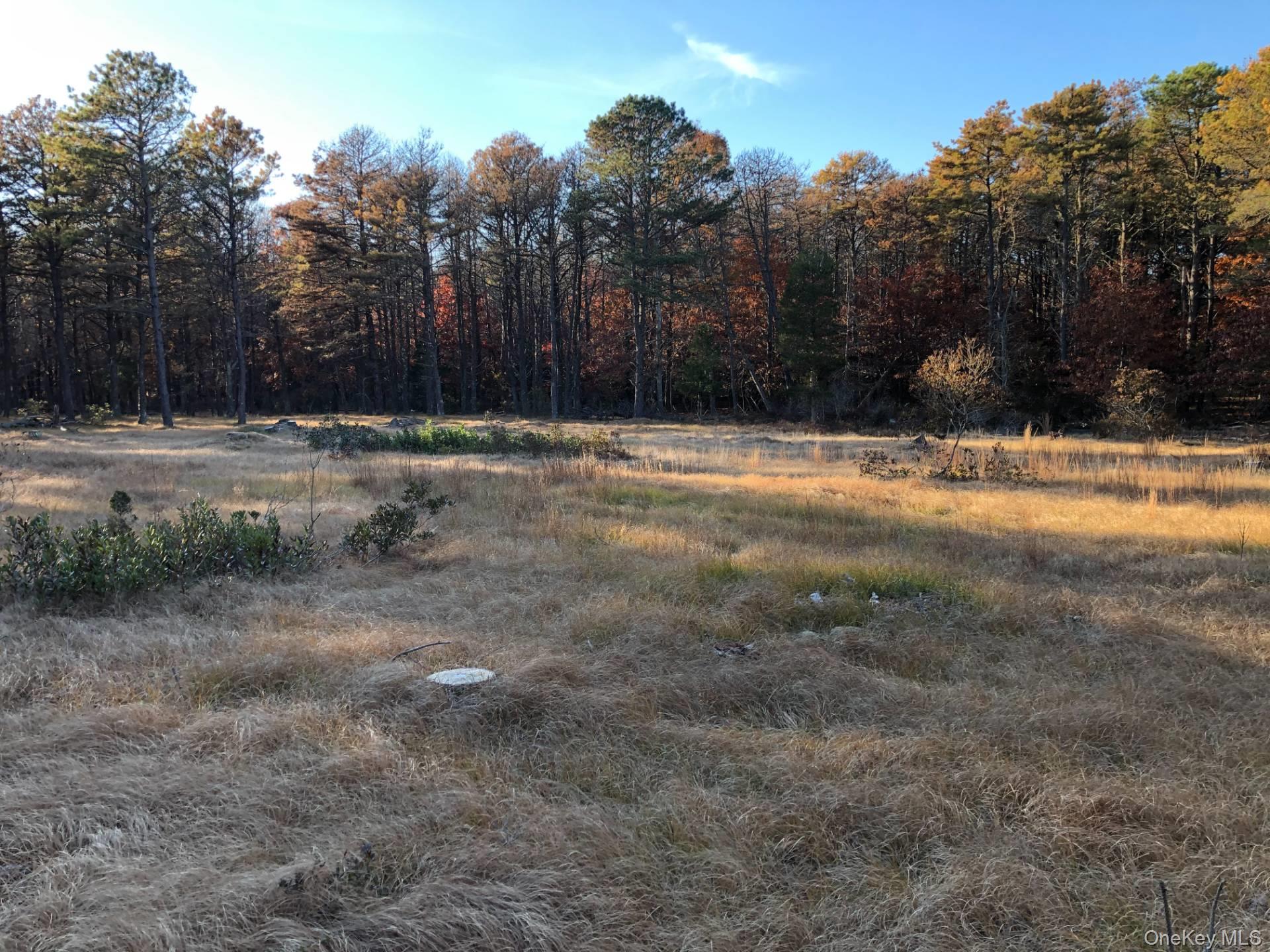 11 Green Hollow Road, East Hampton, NY 11937