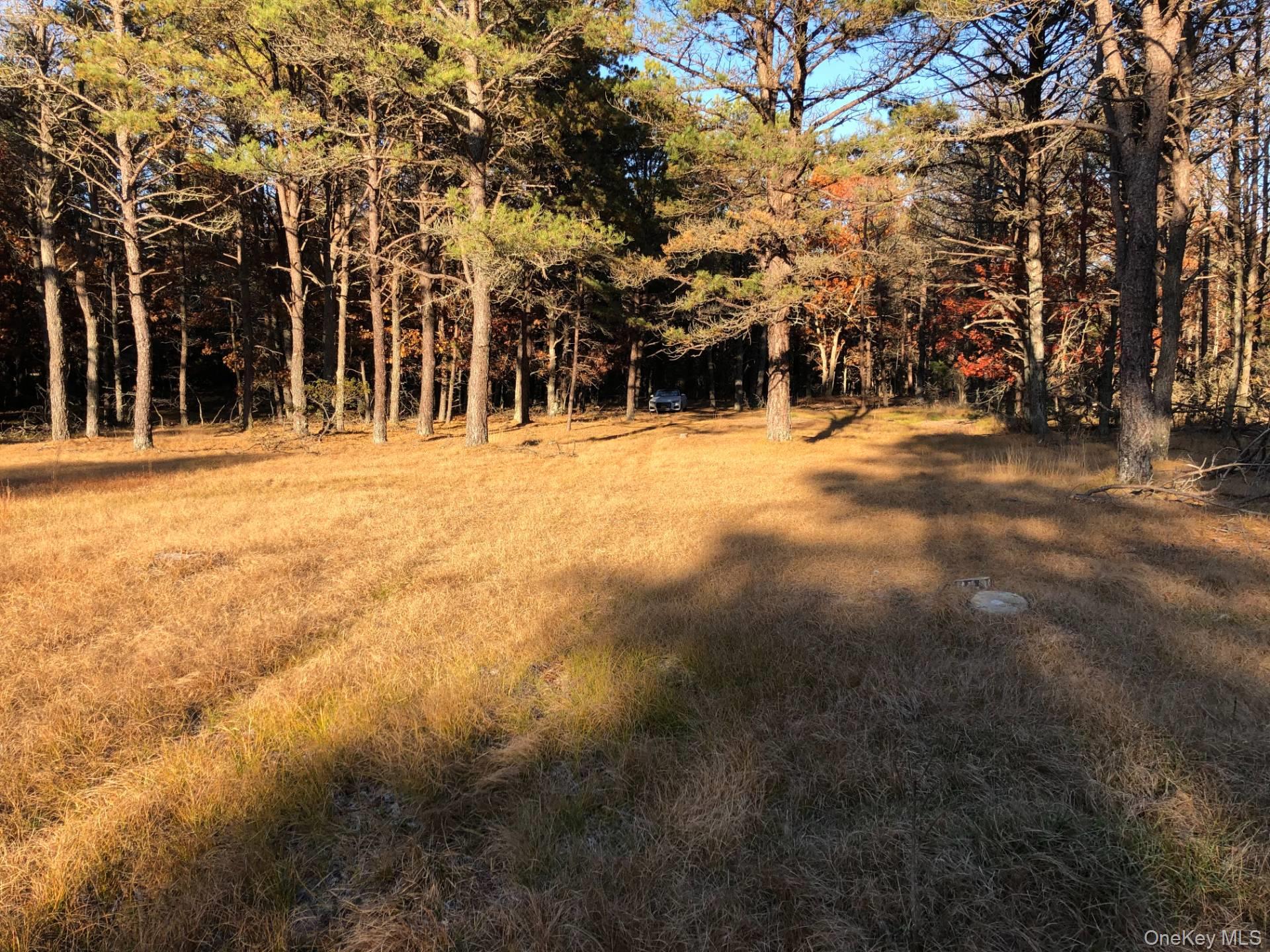 11 Green Hollow Road, East Hampton, NY 11937