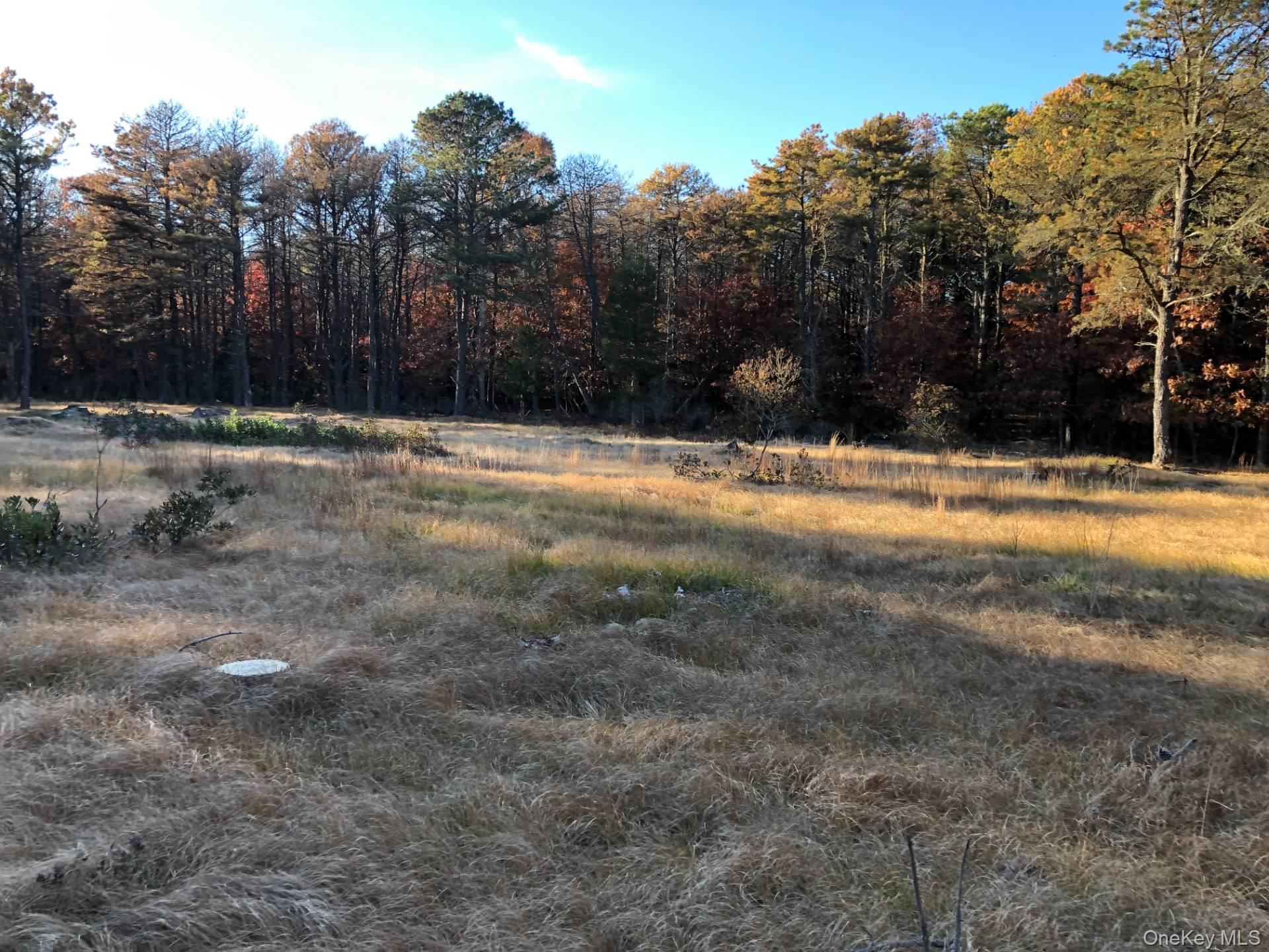 11 Green Hollow Road, East Hampton, NY 11937