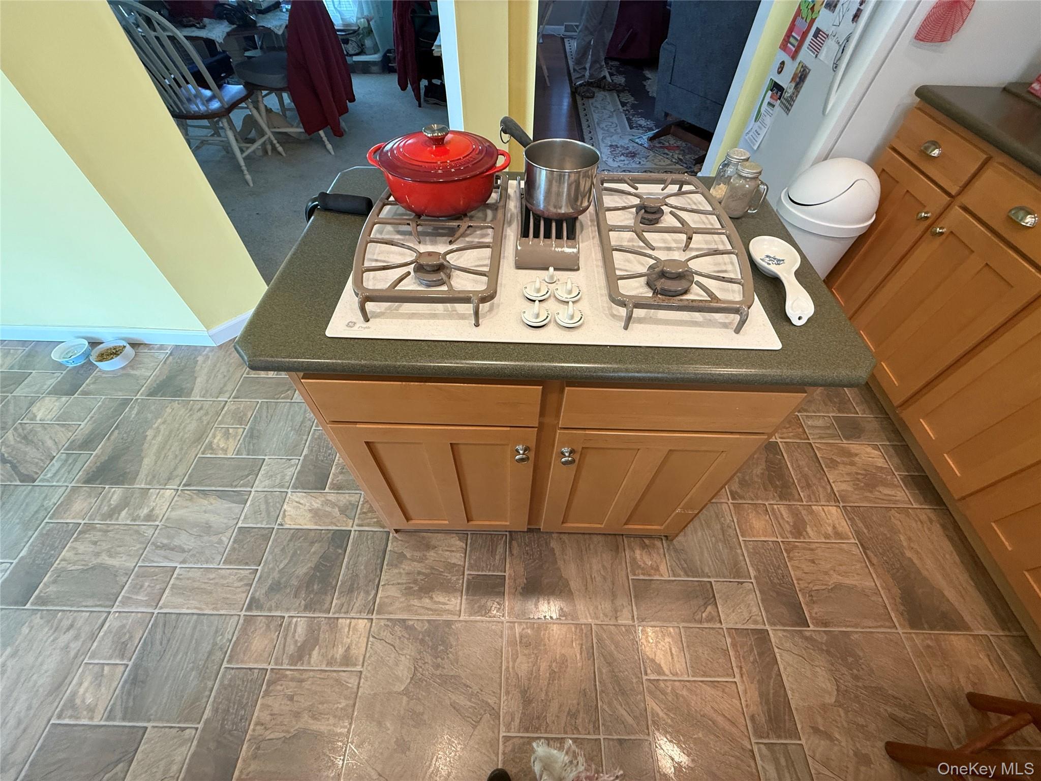 312 Brittany Terrace # 312, Rock Tavern, NY 12575