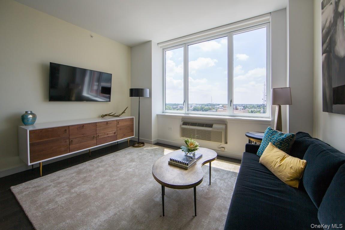 1 Third # 1105, Mineola, NY 11501