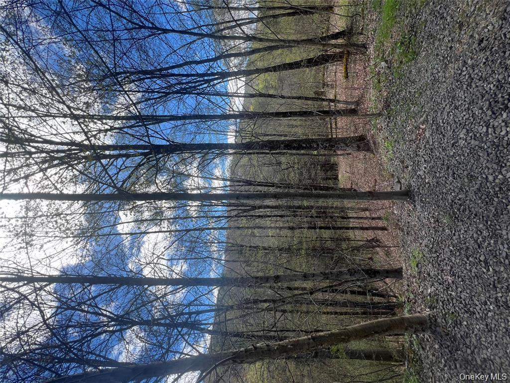 1042 Huntley Hollow Road, Delancey, NY 13752